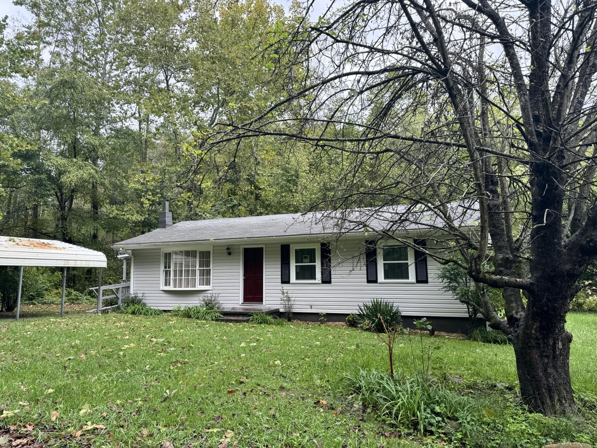 1615 Dolly Ann Dr - Photo 2