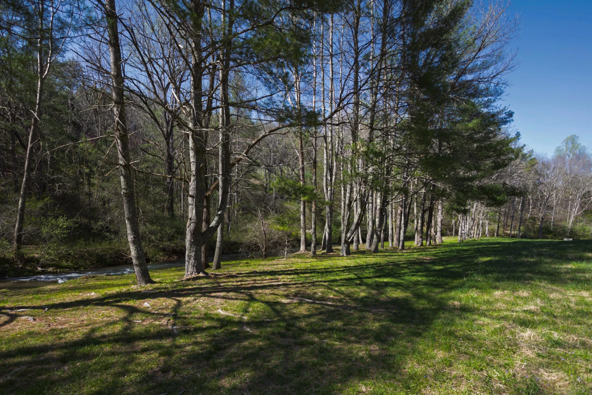 1808 South Buffalo Rd - Photo 48