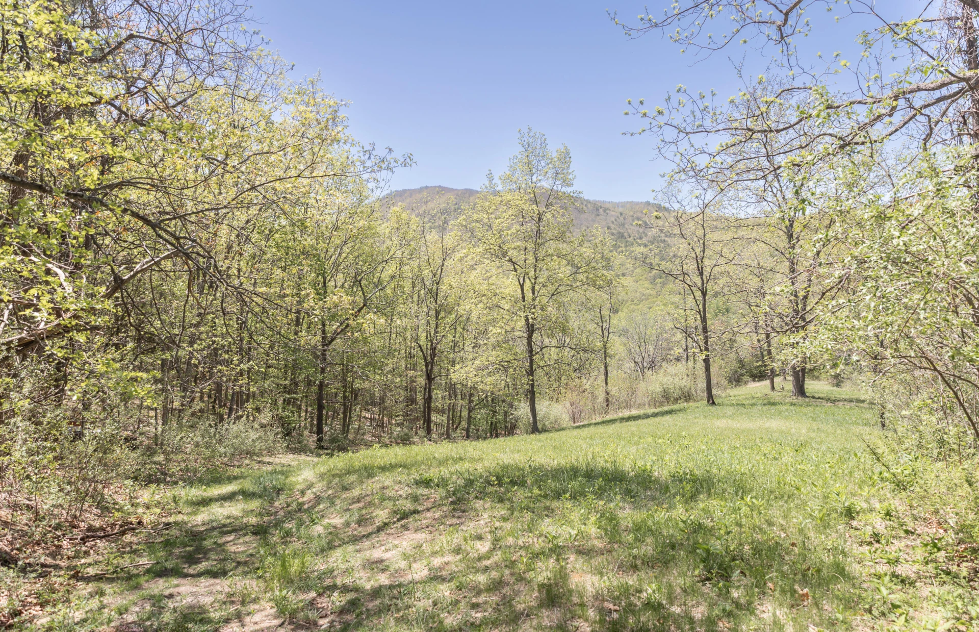 5794 W Midland Trl - Photo 60
