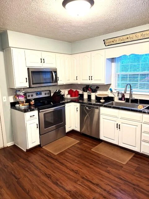 307 Sammys Rd - Photo 12