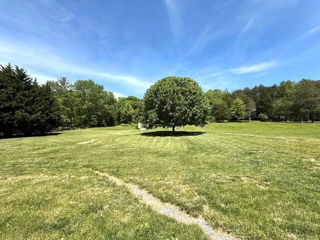 307 Sammys Rd - Photo 33