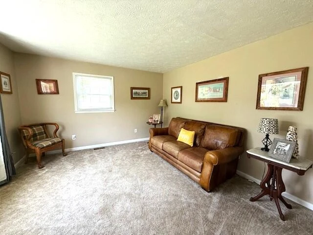 307 Sammys Rd - Photo 5