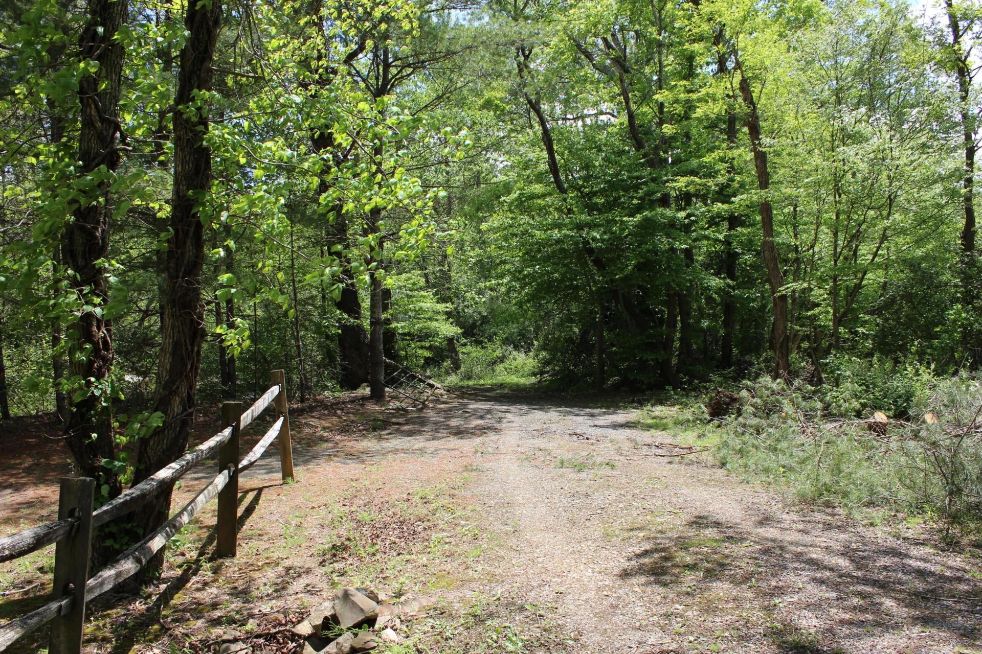 2797 Brattons Run - Photo 11