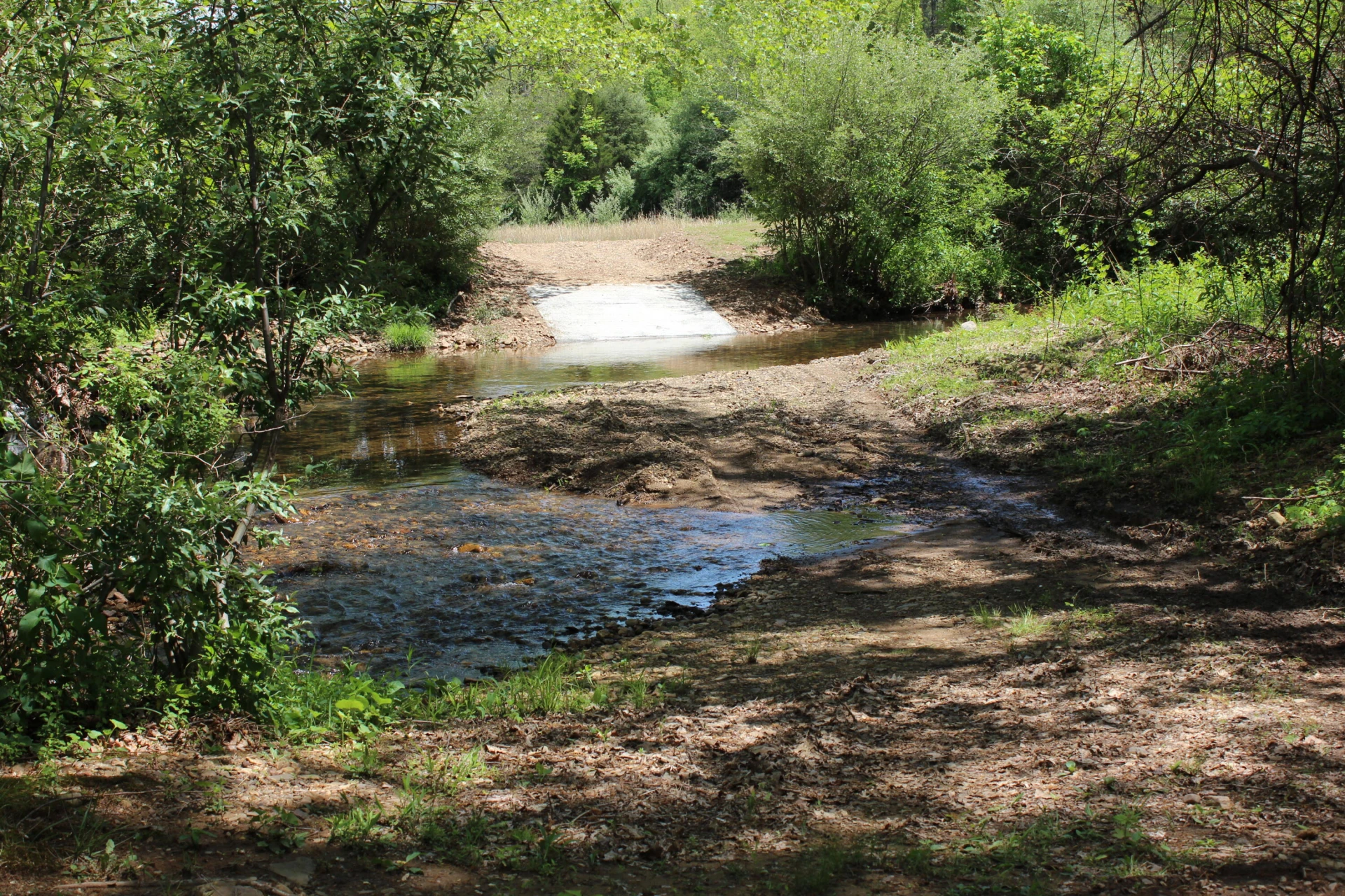 2797 Brattons Run - Photo 13