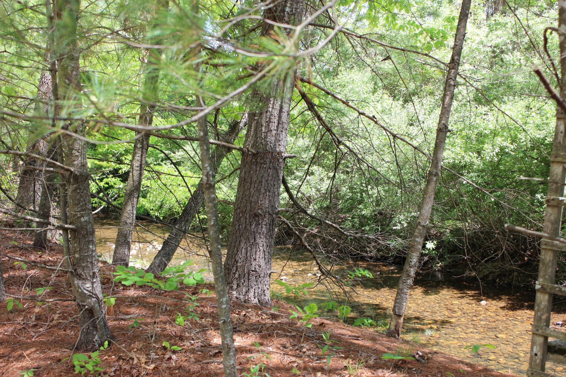 2797 Brattons Run - Photo 14