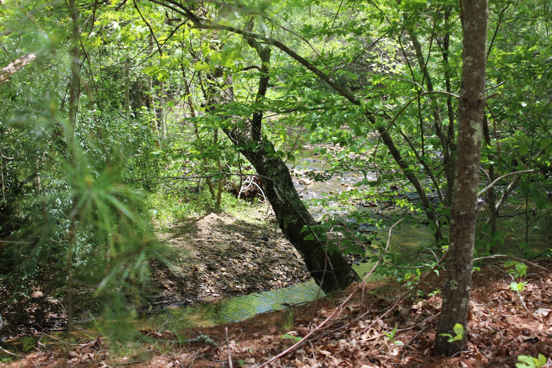 2797 Brattons Run - Photo 15