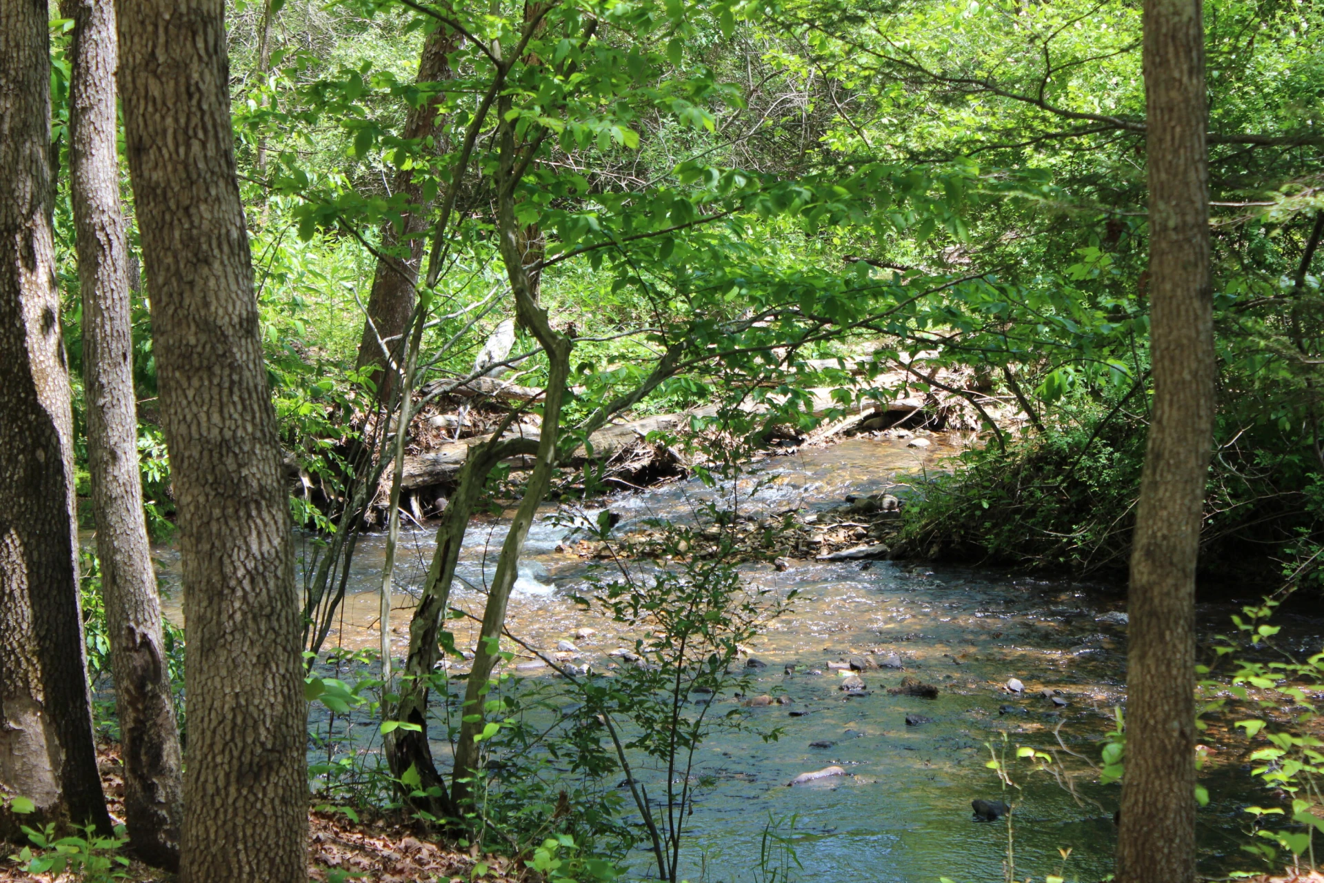 2797 Brattons Run - Photo 17