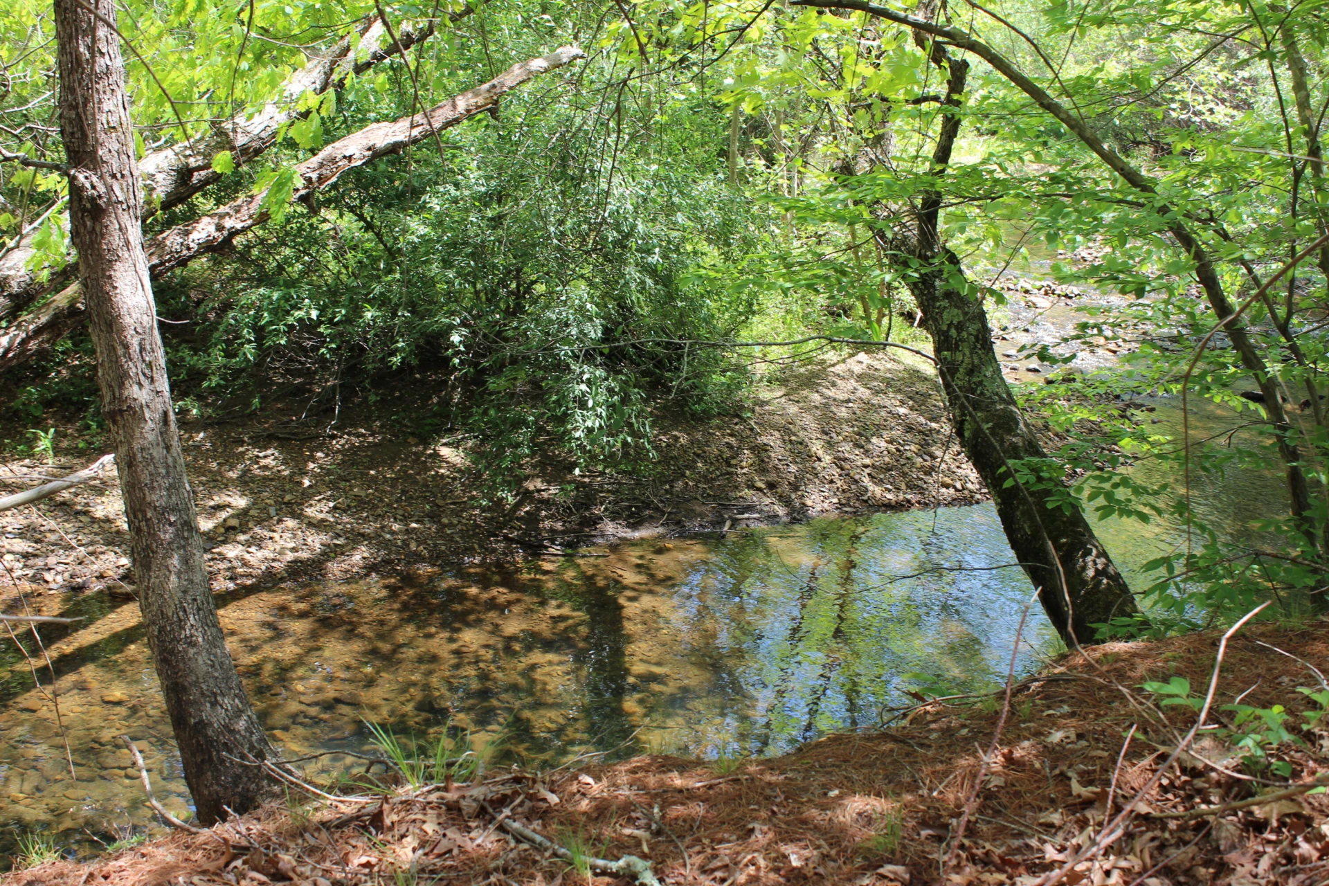 2797 Brattons Run - Photo 19