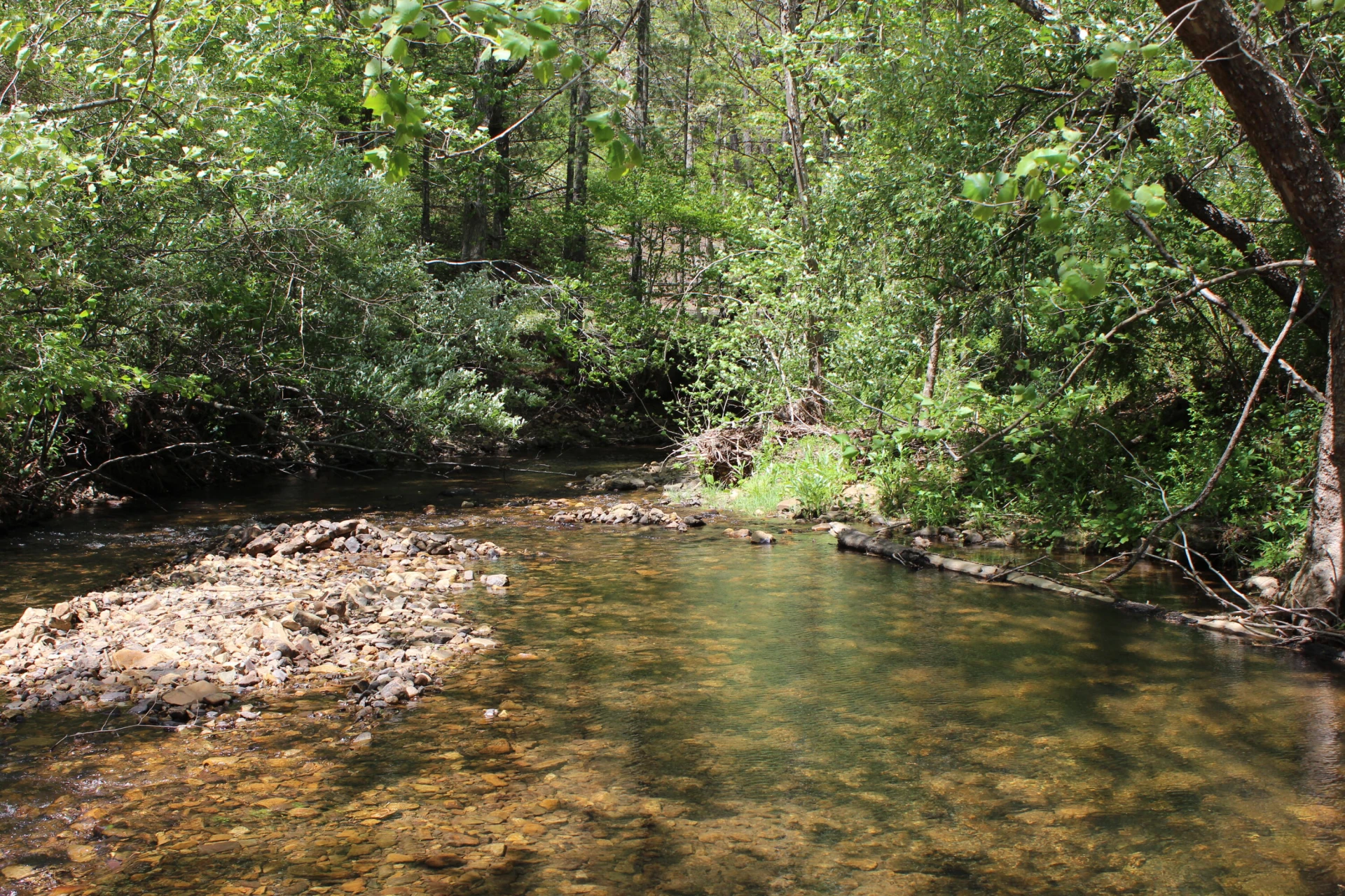 2797 Brattons Run - Photo 20