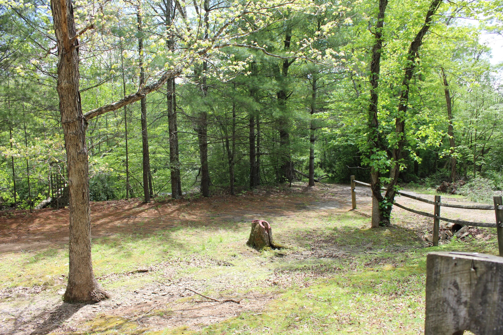 2797 Brattons Run - Photo 6