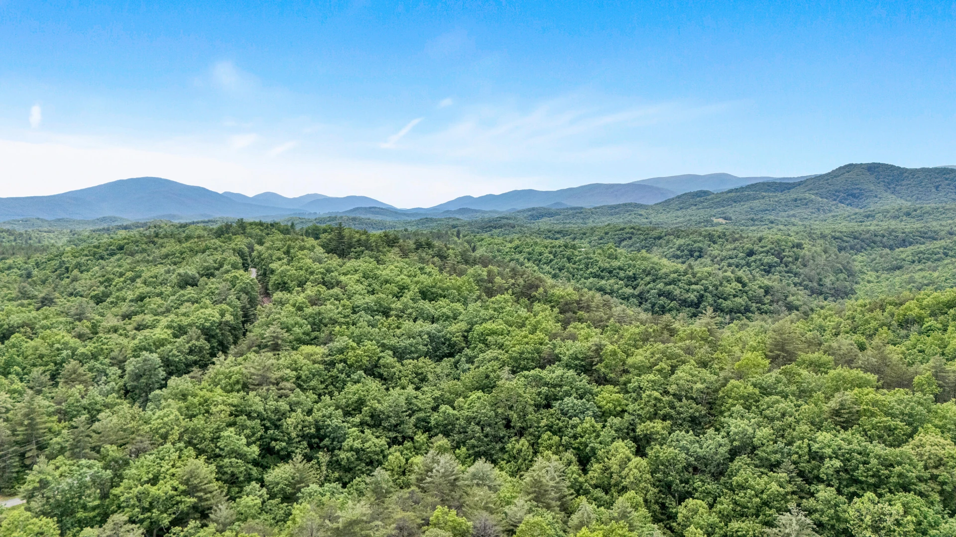 223 Vista Ln - Photo 39