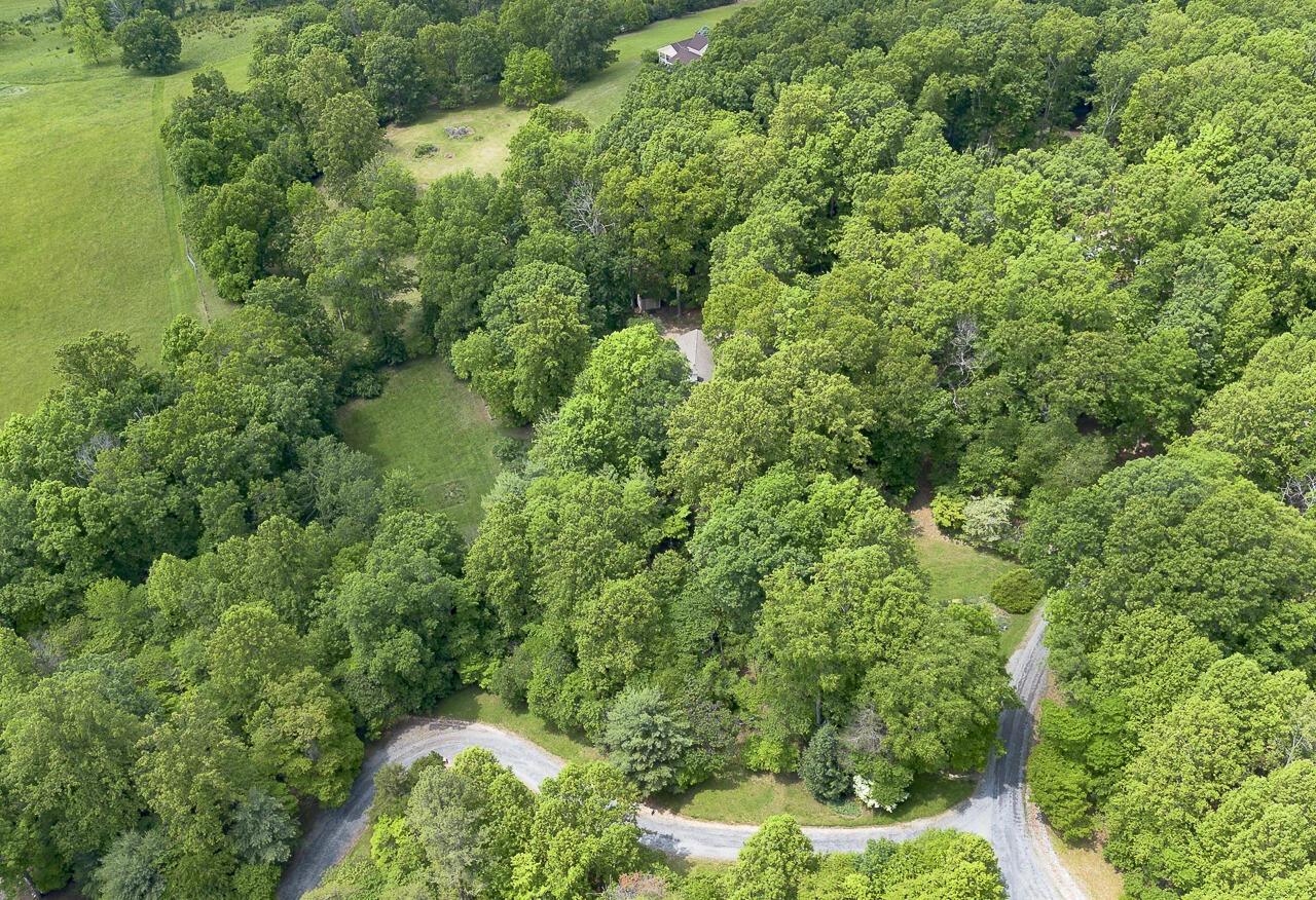 88 Deer Dr - Photo 51