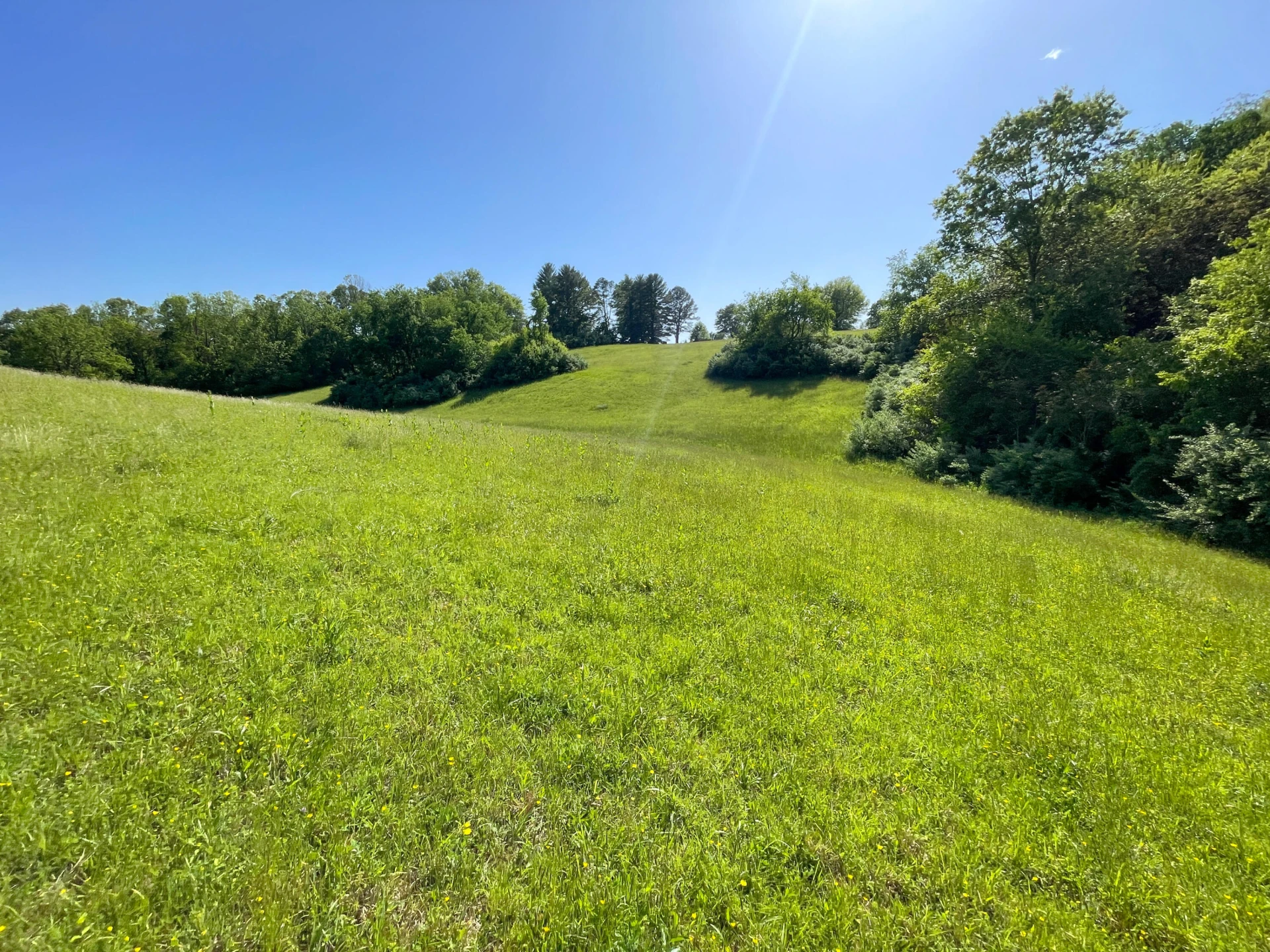 0000 Hunter Hill Rd - Photo 12