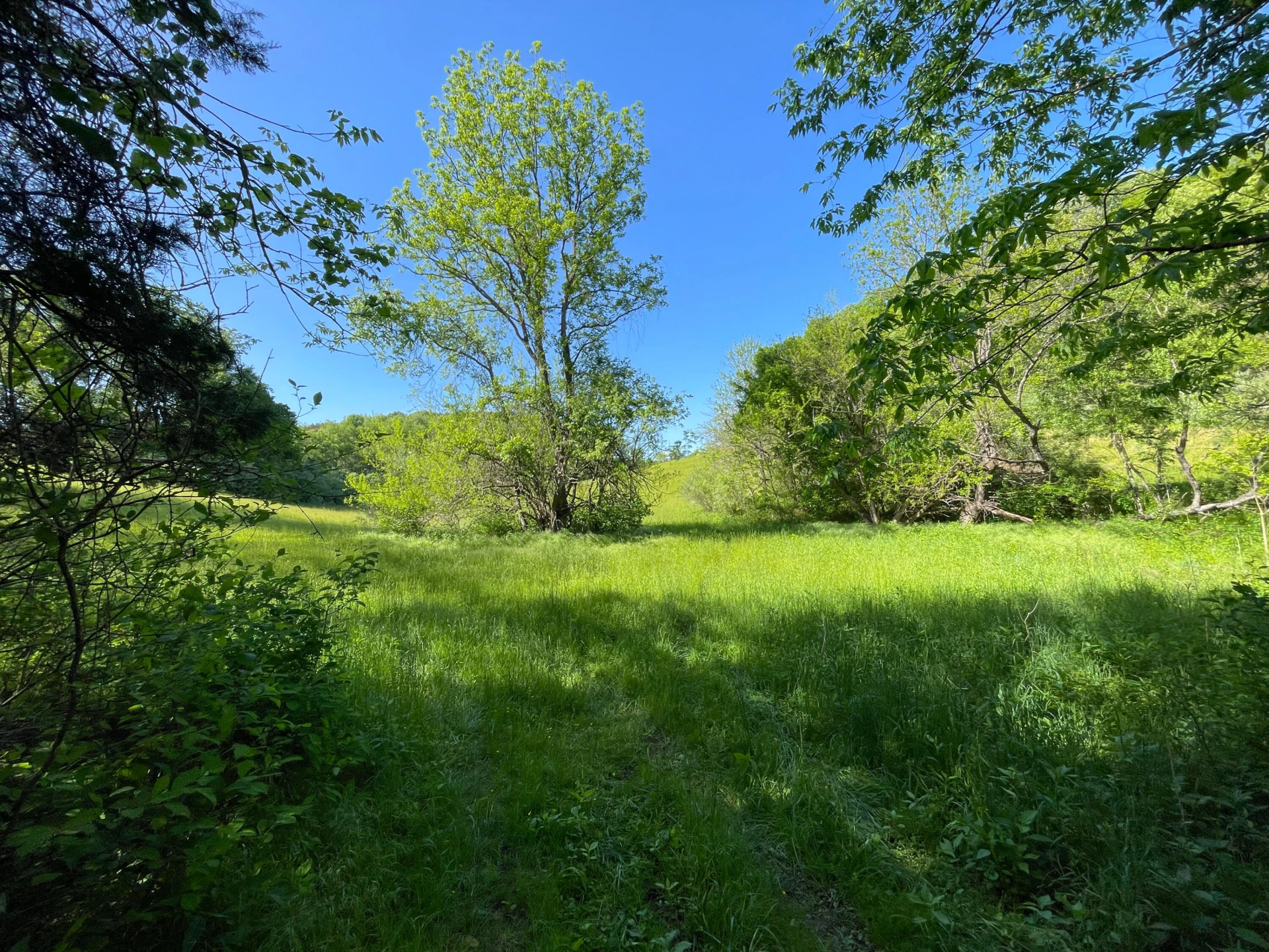 0000 Hunter Hill Rd - Photo 15
