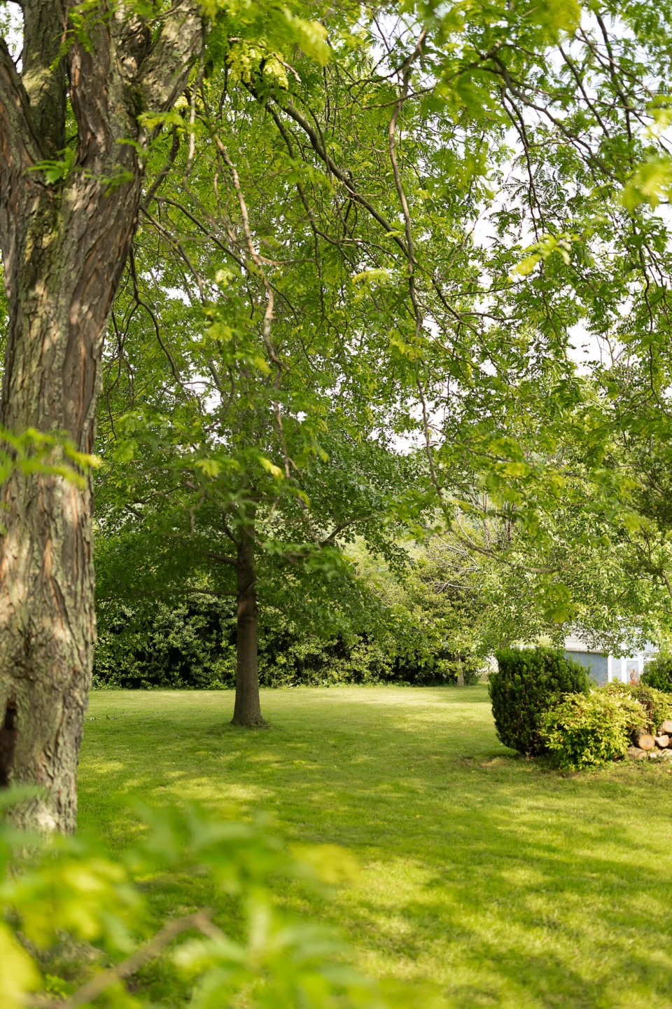 307 Horse Mountain View - Photo 8