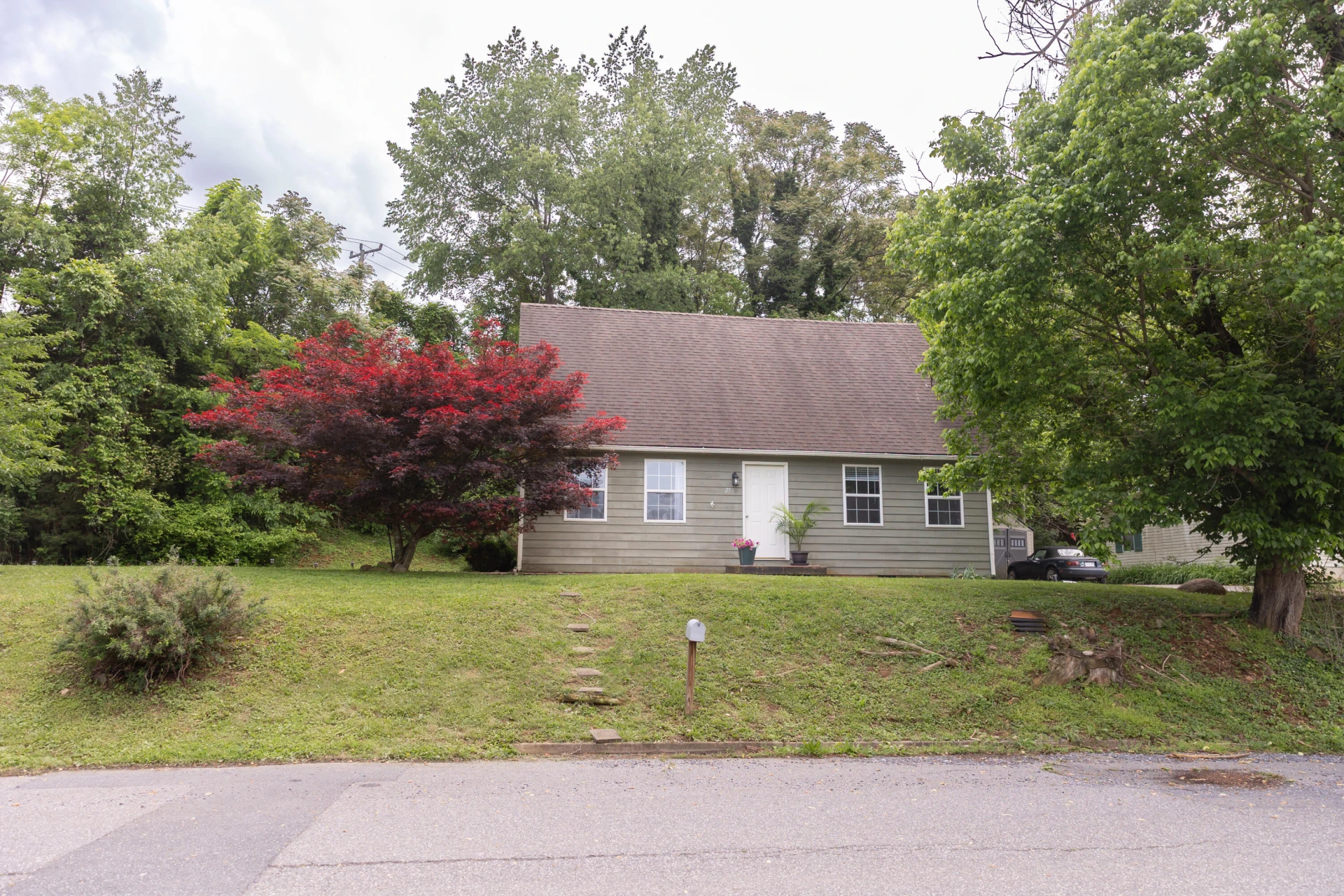 256 E 28th St - Photo 3