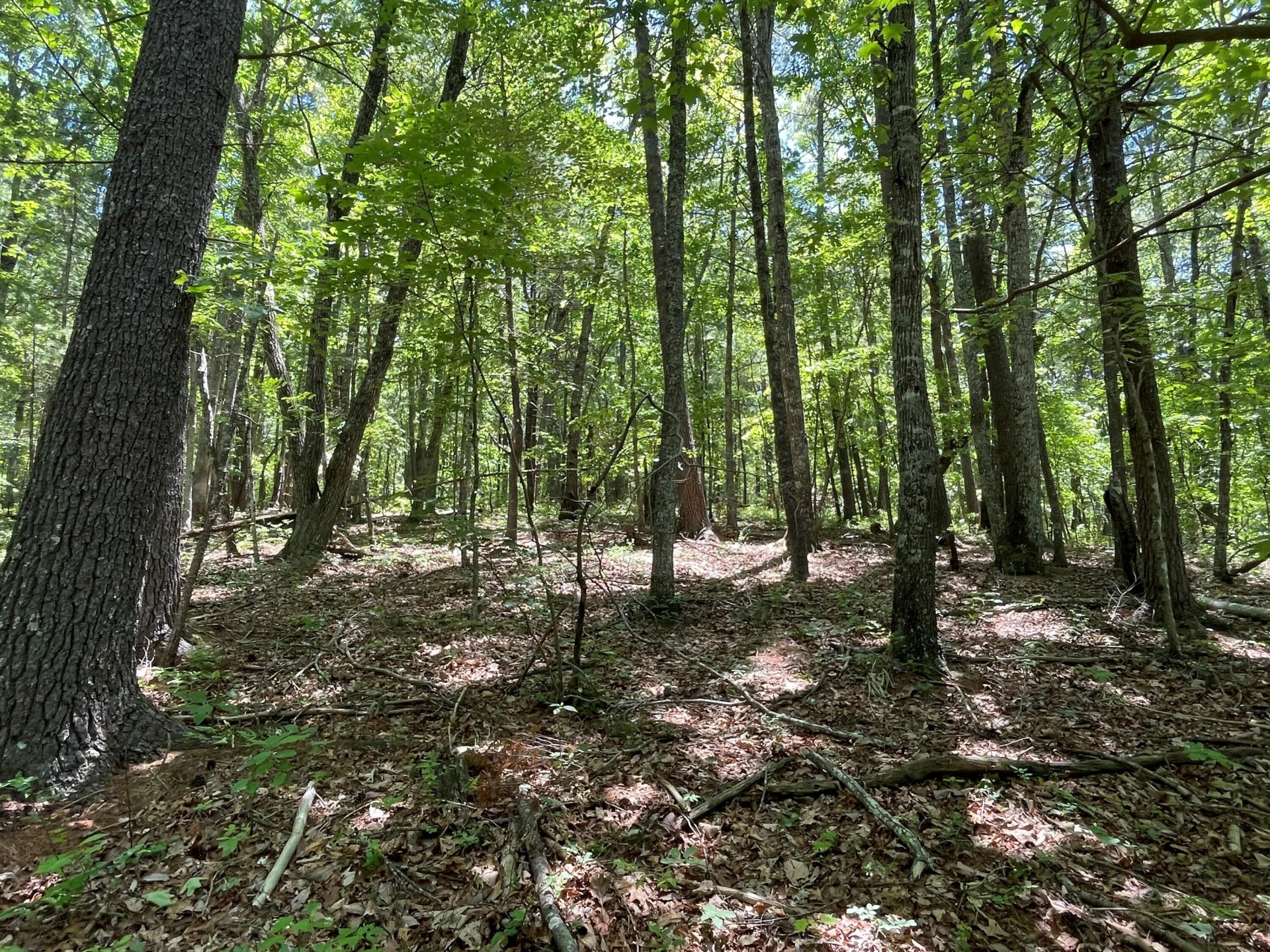 TBD The Knob Rd - Photo 2