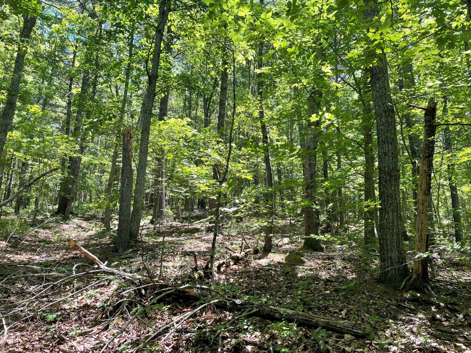 TBD The Knob Rd - Photo 4