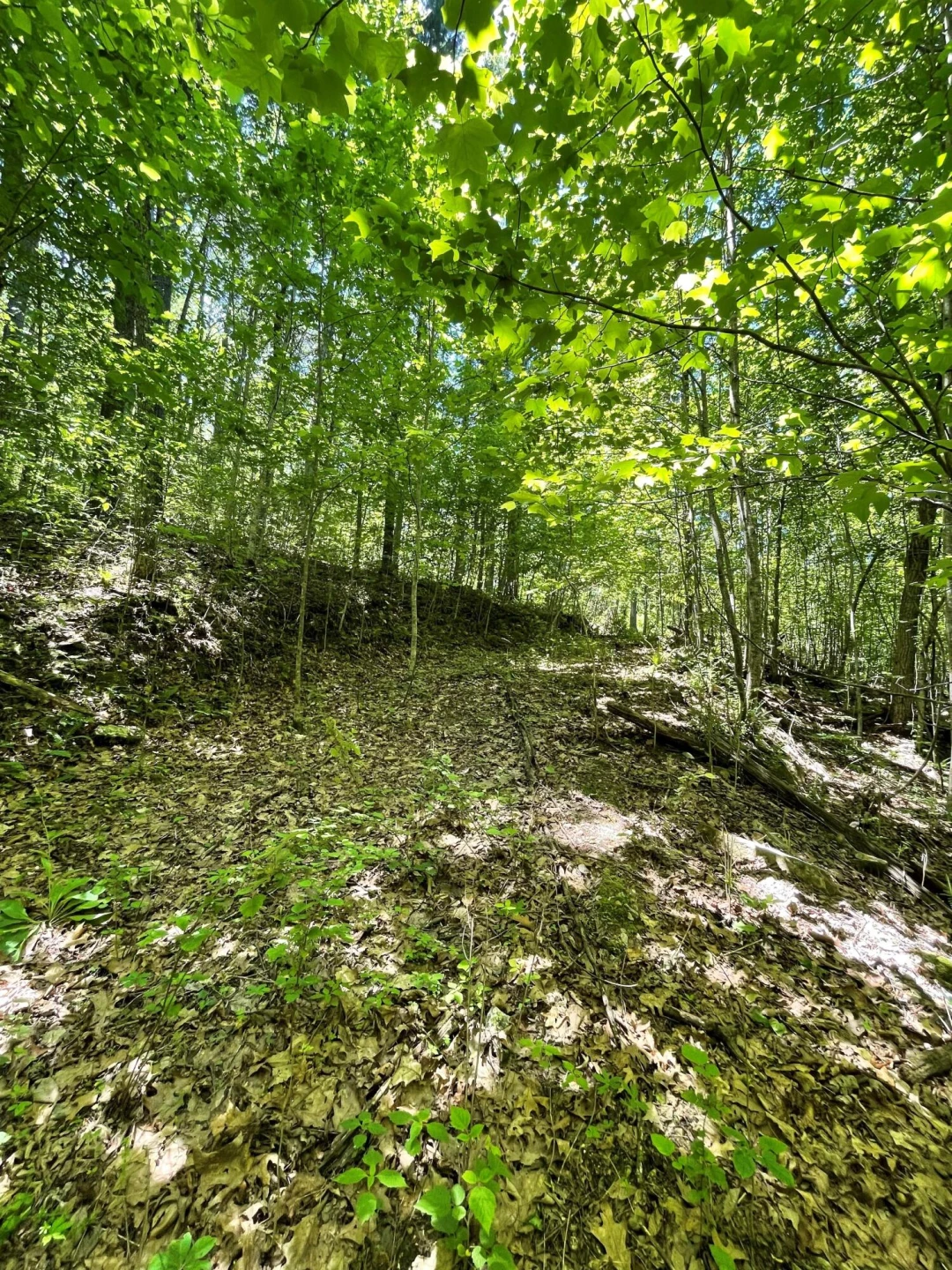 TBD The Knob Rd - Photo 5