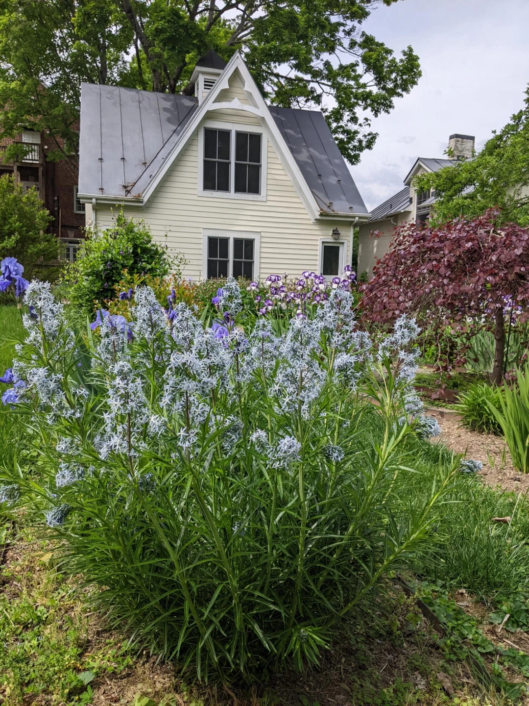 406 S Main St - Photo 80