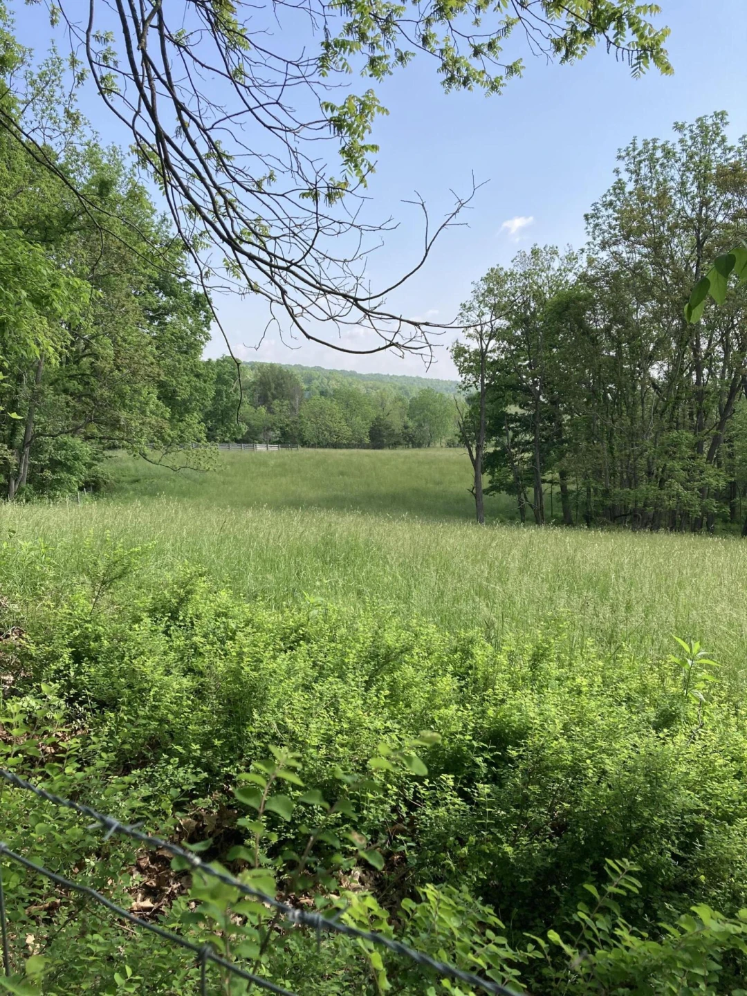 211 Haven Wood Rd - Photo 10