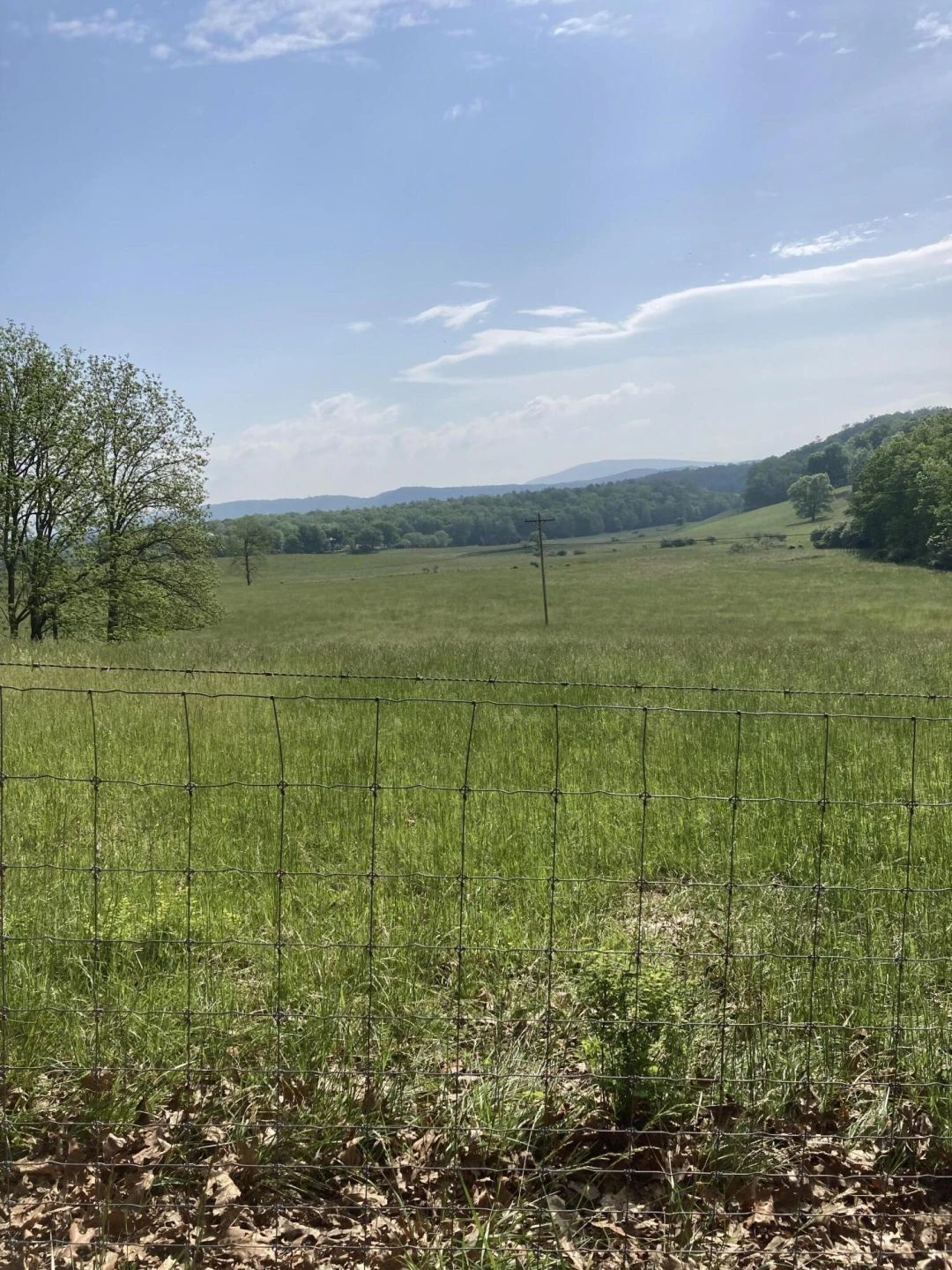 211 Haven Wood Rd - Photo 11