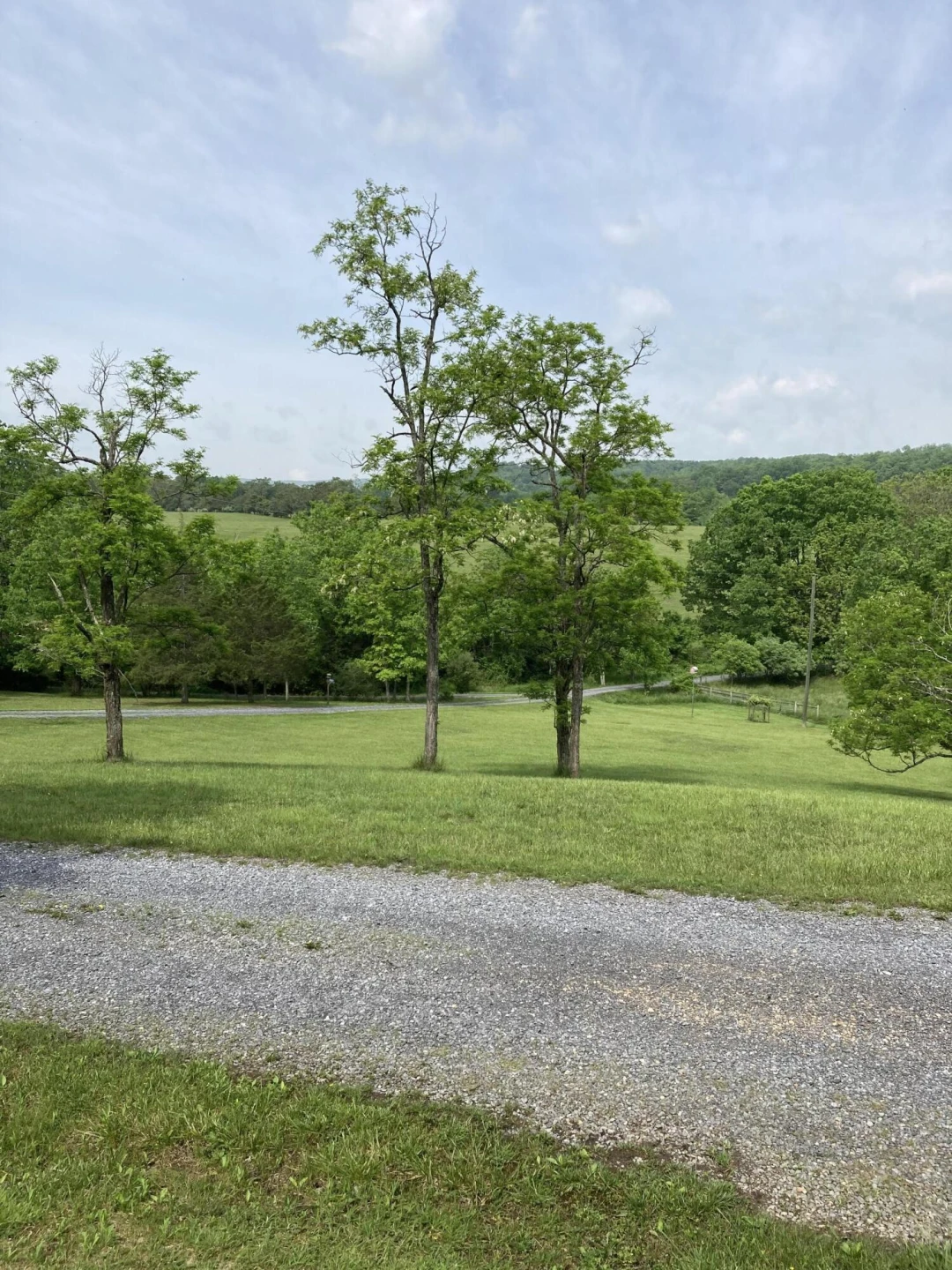211 Haven Wood Rd - Photo 13