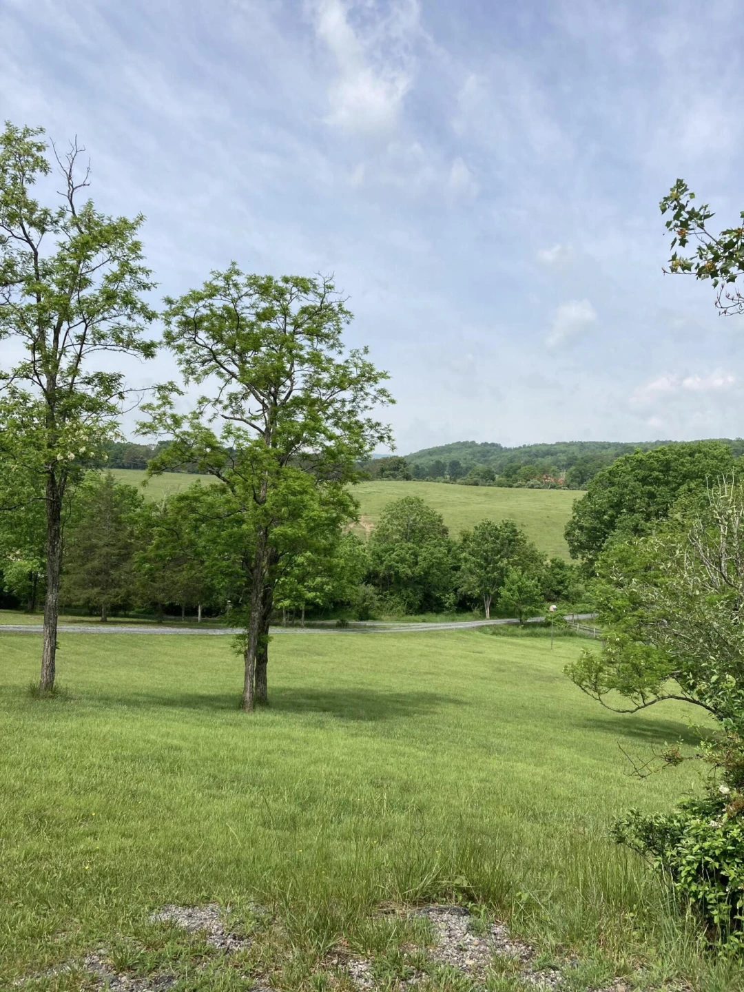 211 Haven Wood Rd - Photo 15