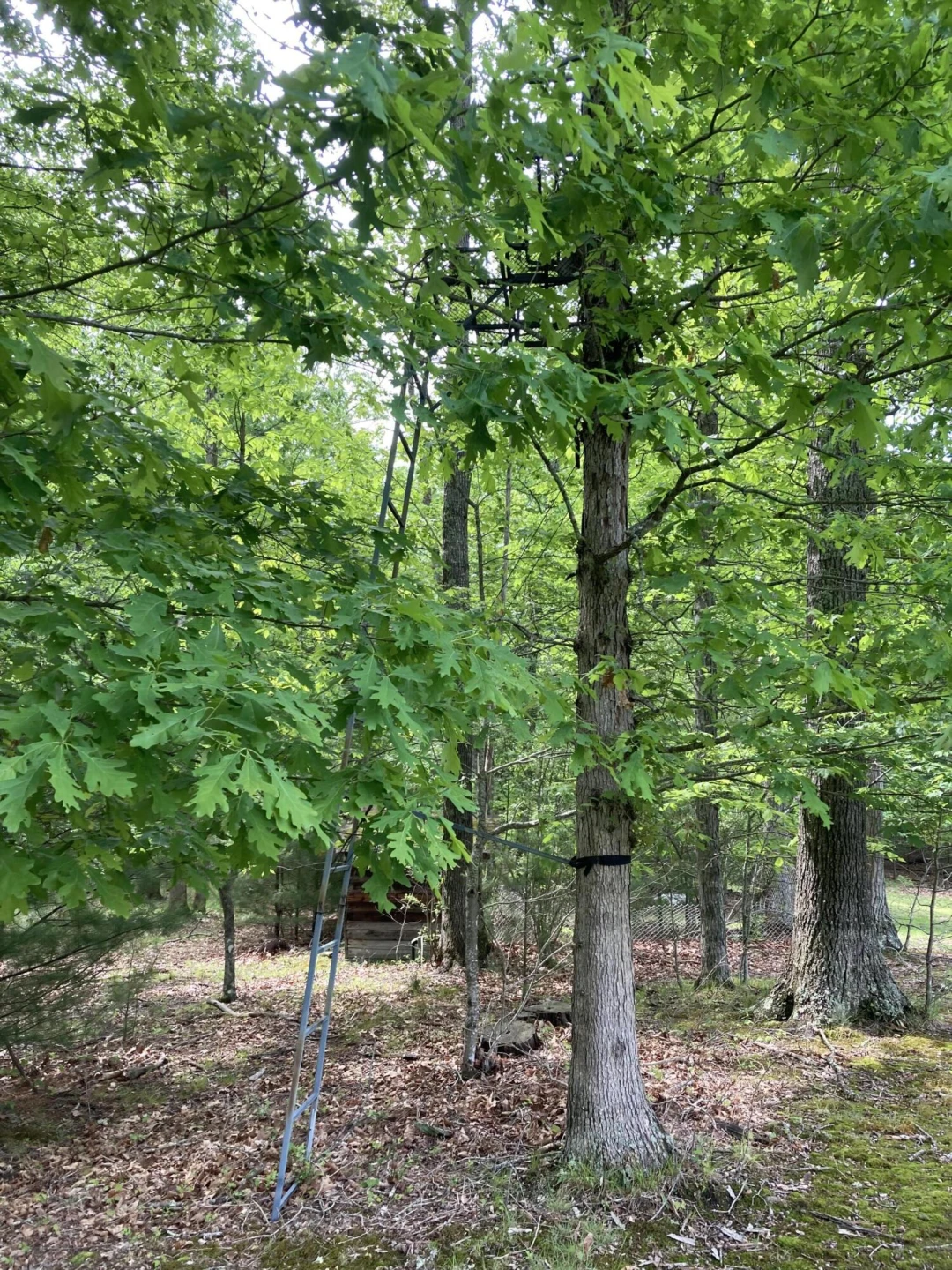 211 Haven Wood Rd - Photo 16