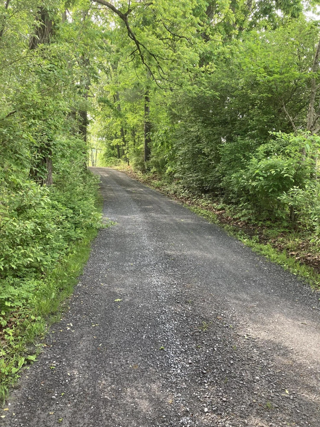 211 Haven Wood Rd - Photo 39
