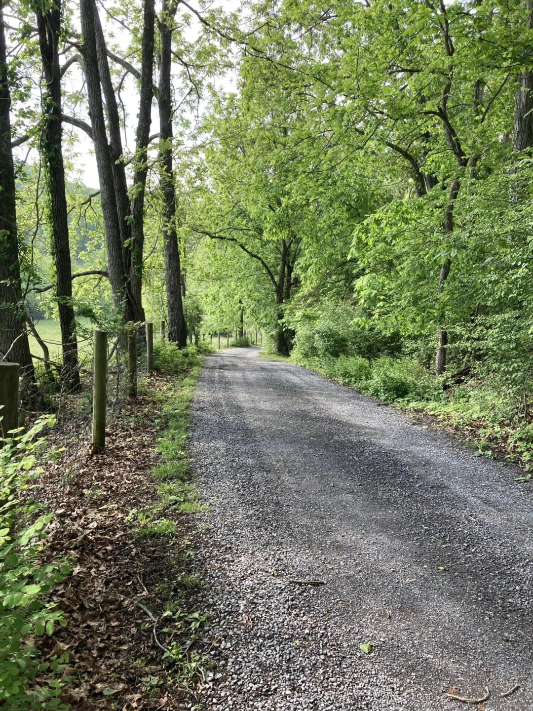 211 Haven Wood Rd - Photo 40