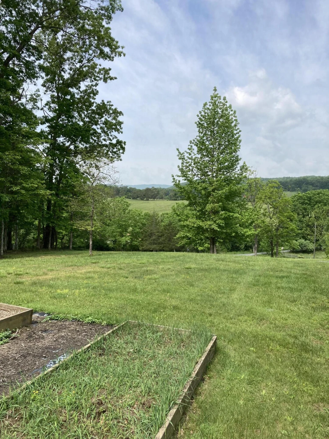 211 Haven Wood Rd - Photo 9