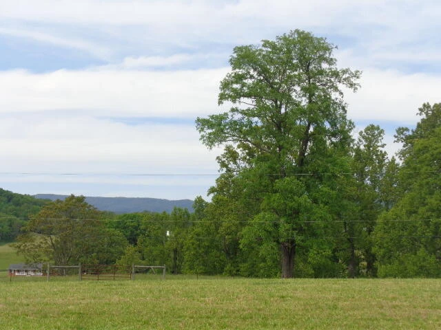 1170 Parrish Rd - Photo 3