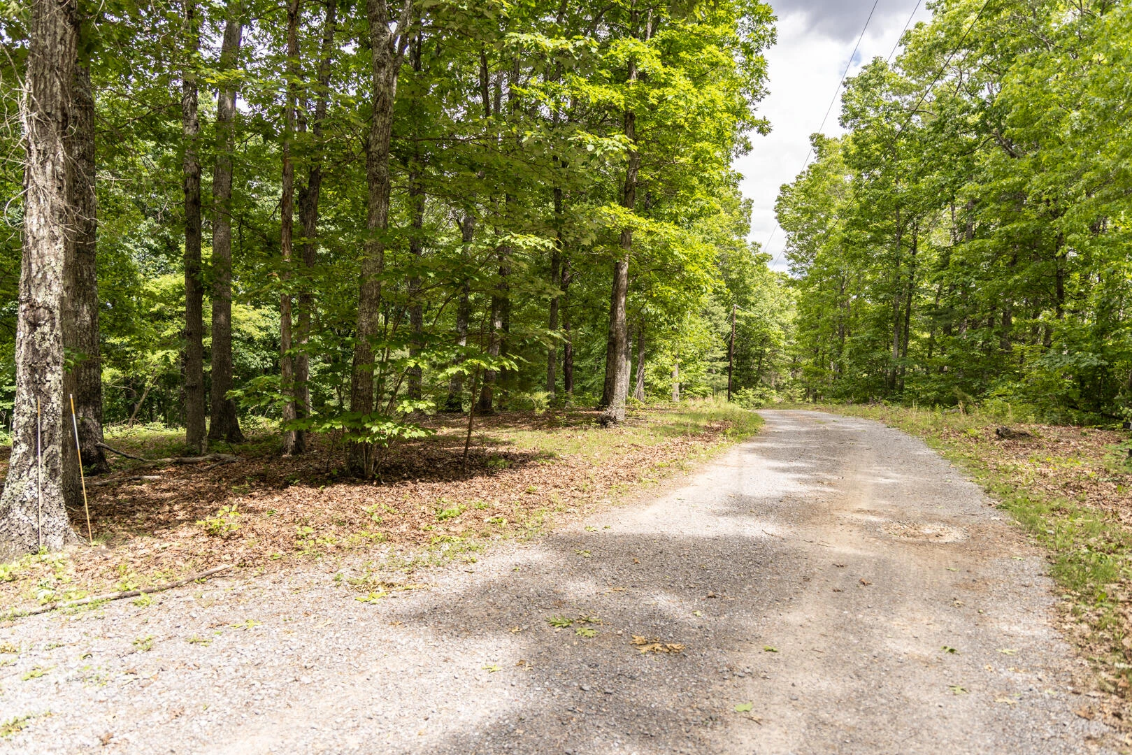 576 Cook Ln - Photo 45