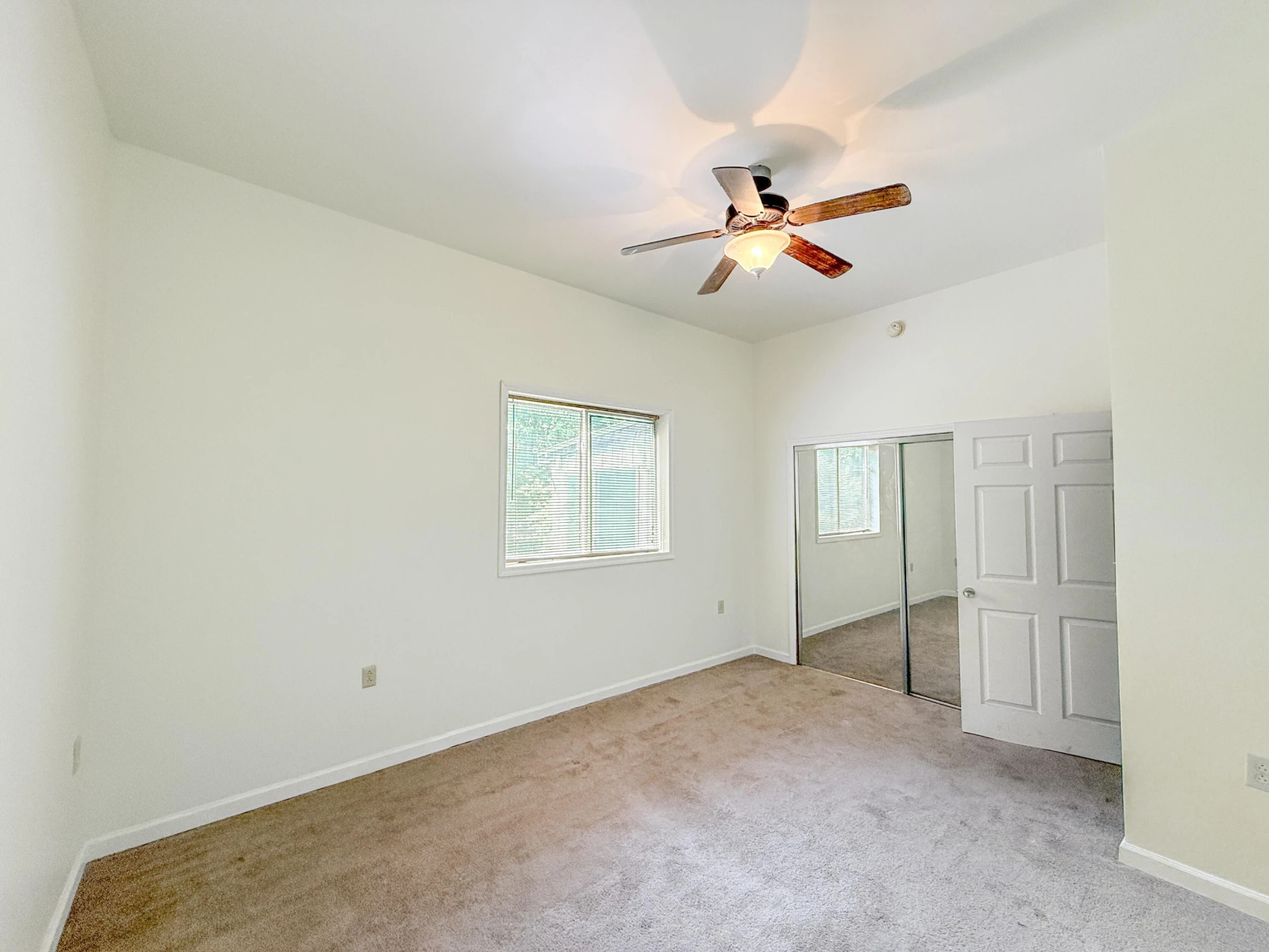 2015 Mallow Rd - Photo 12