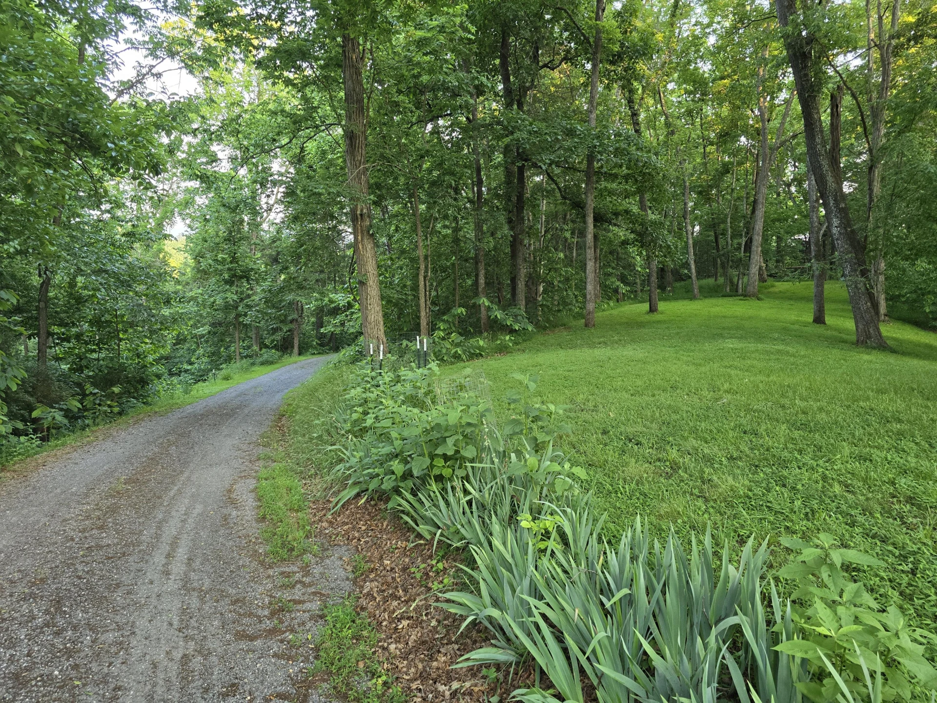 75 Osage Ln - Photo 3