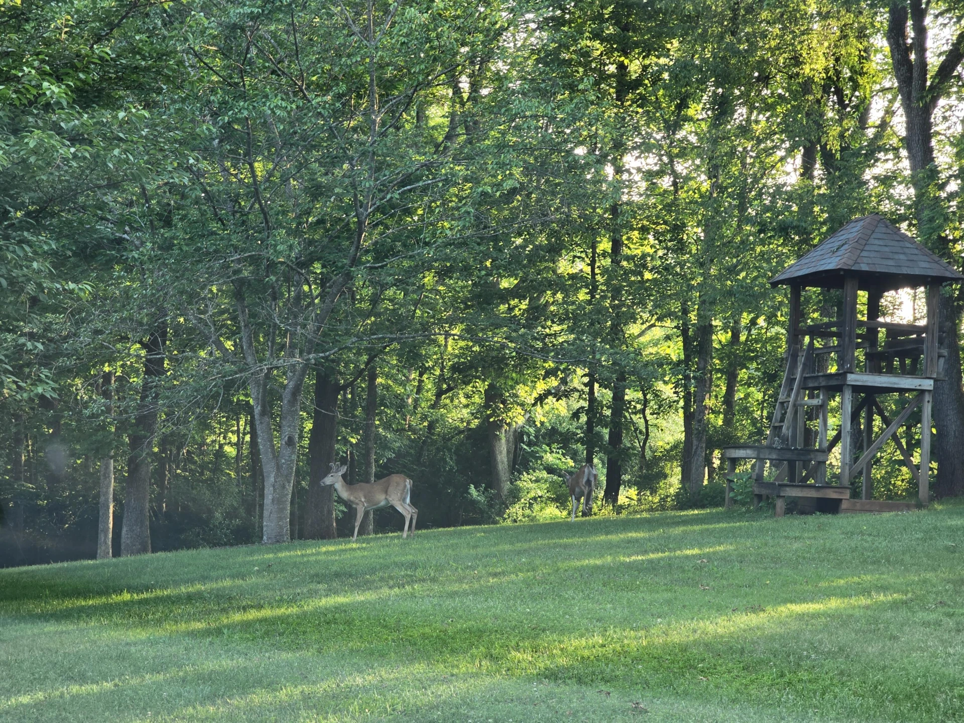 75 Osage Ln - Photo 46