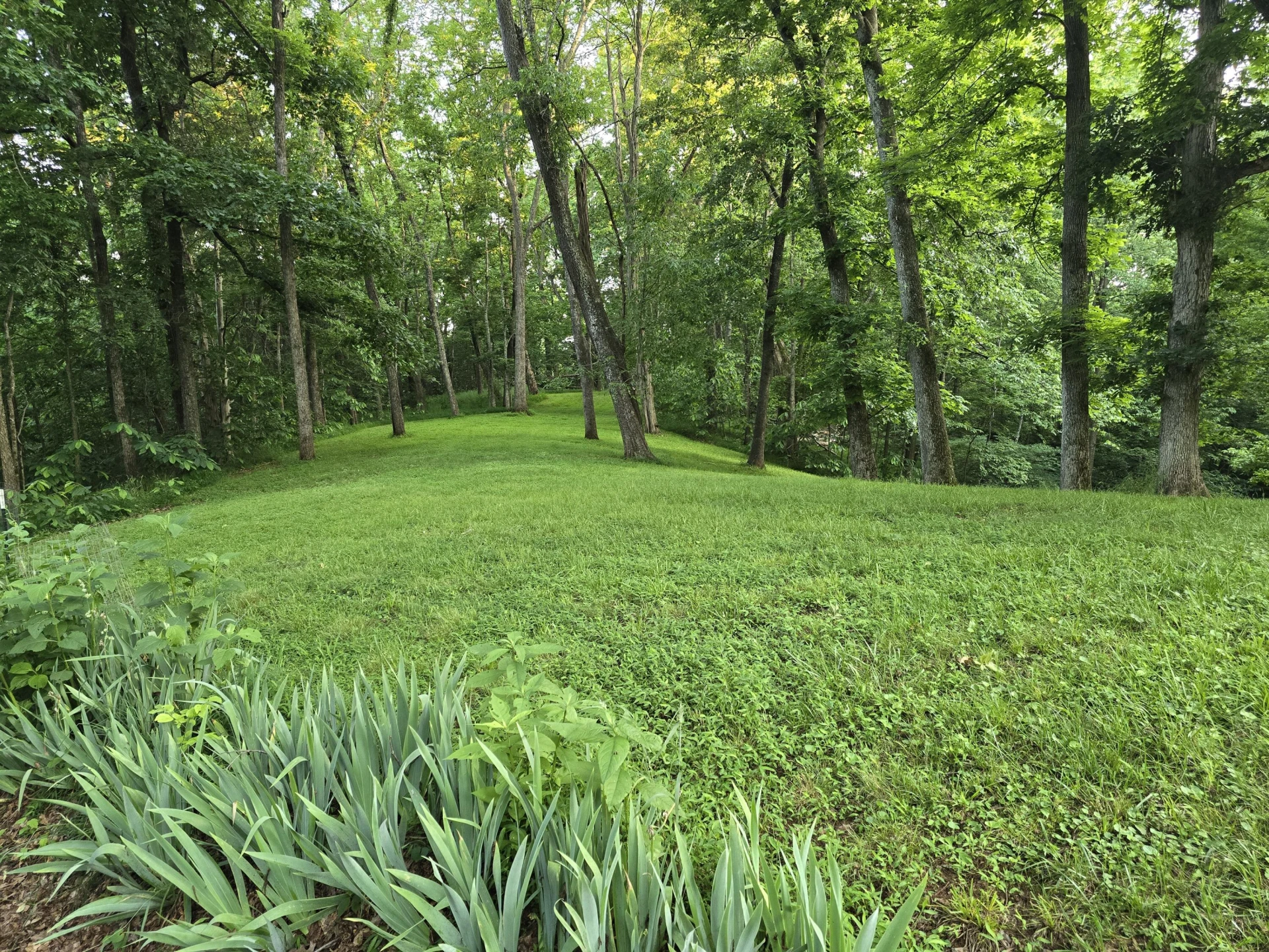75 Osage Ln - Photo 58