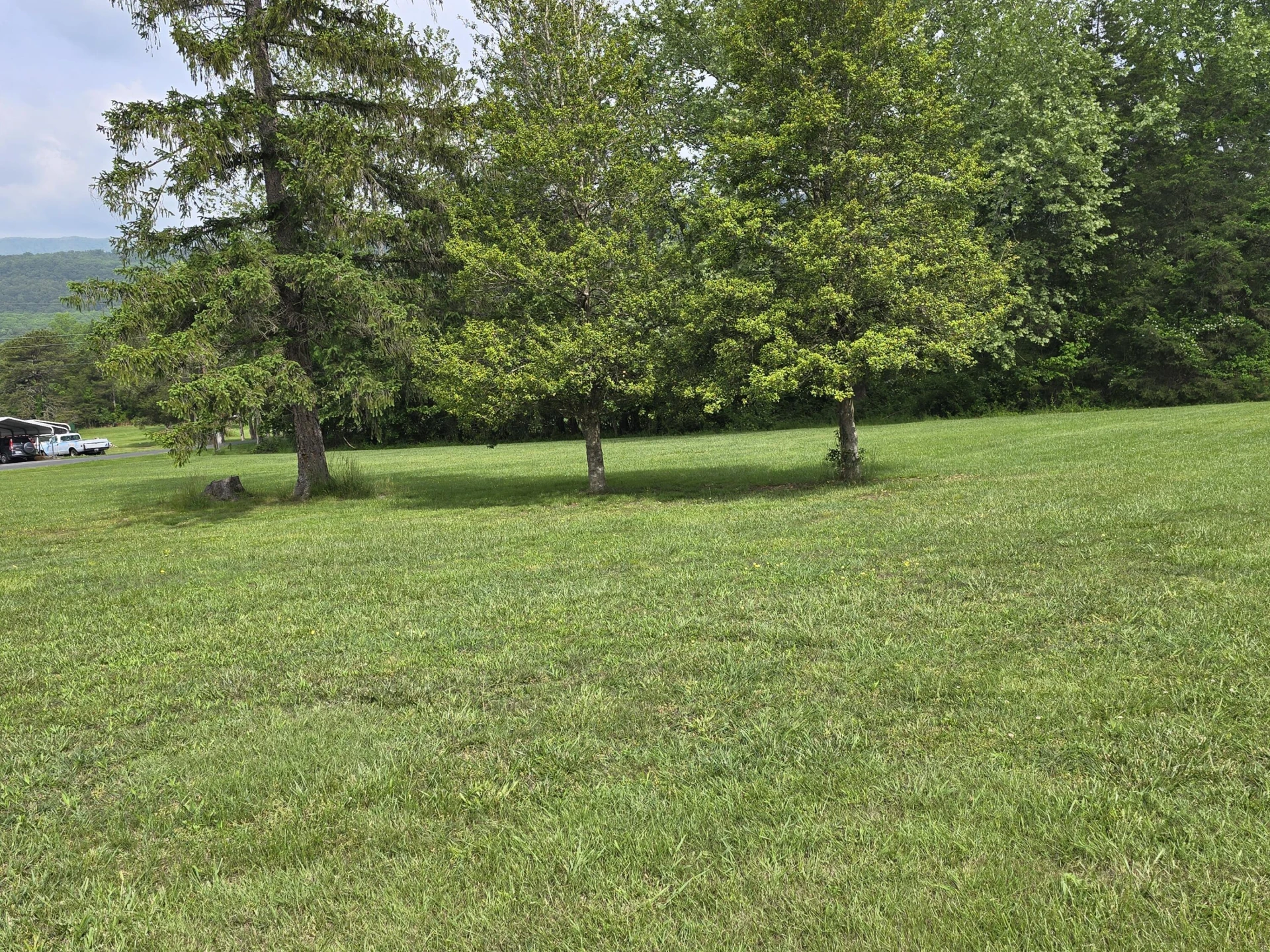 307 Treetop Dr - Photo 19