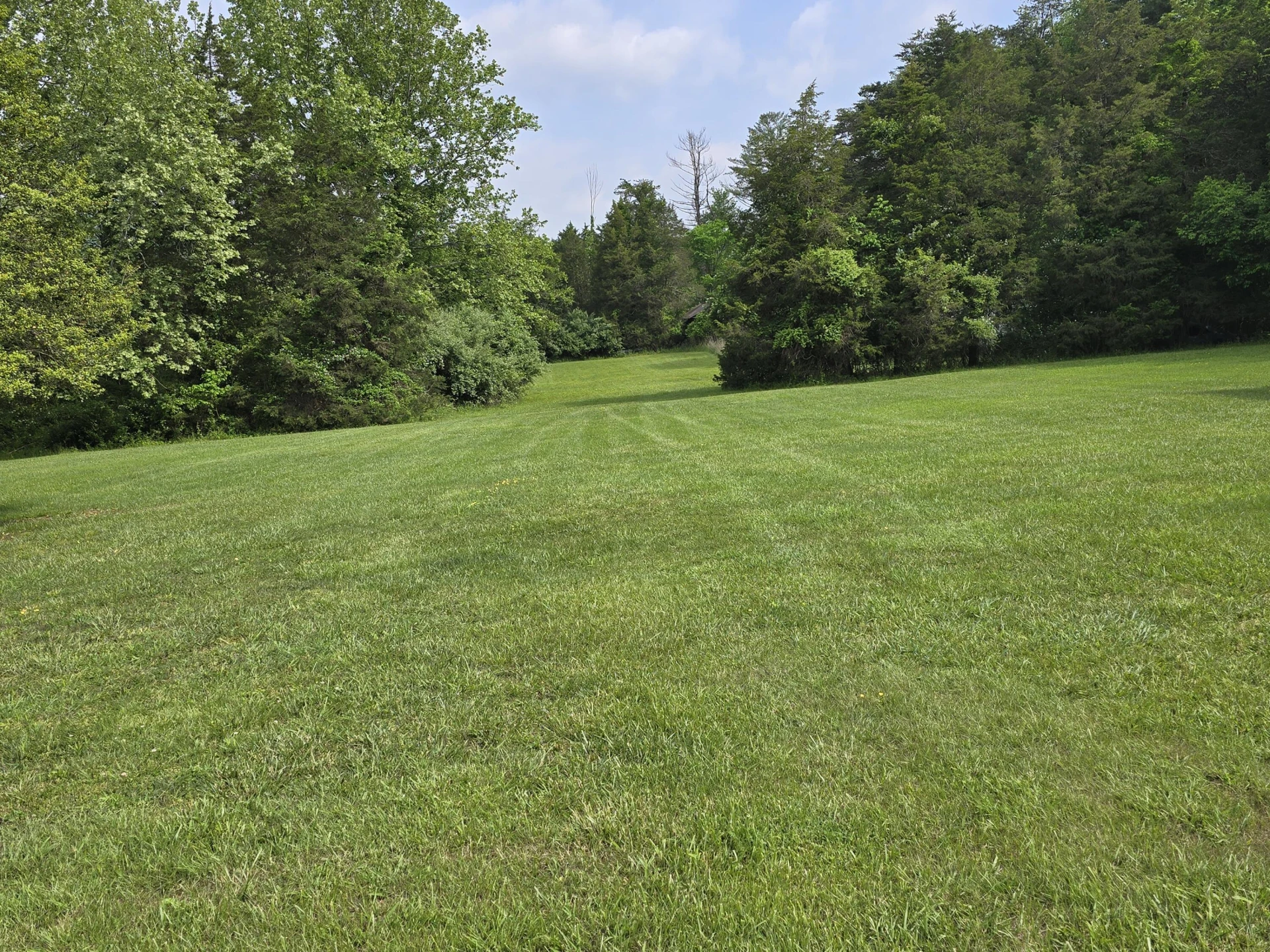 307 Treetop Dr - Photo 20
