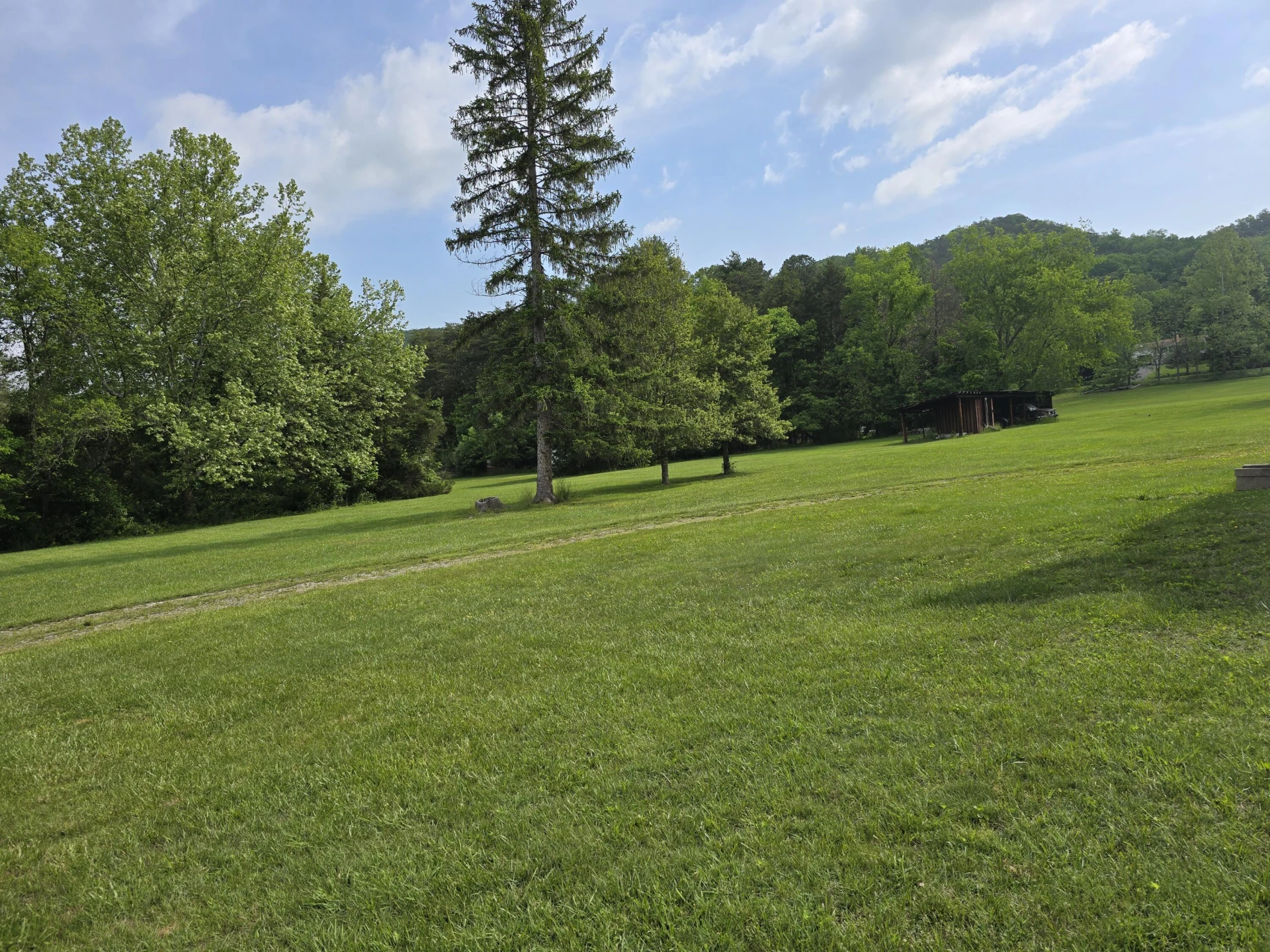 307 Treetop Dr - Photo 21