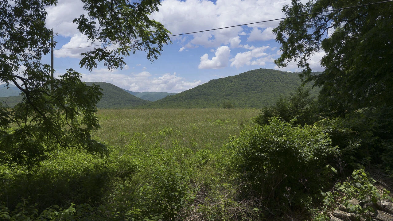 4567 Forge Rd - Photo 23