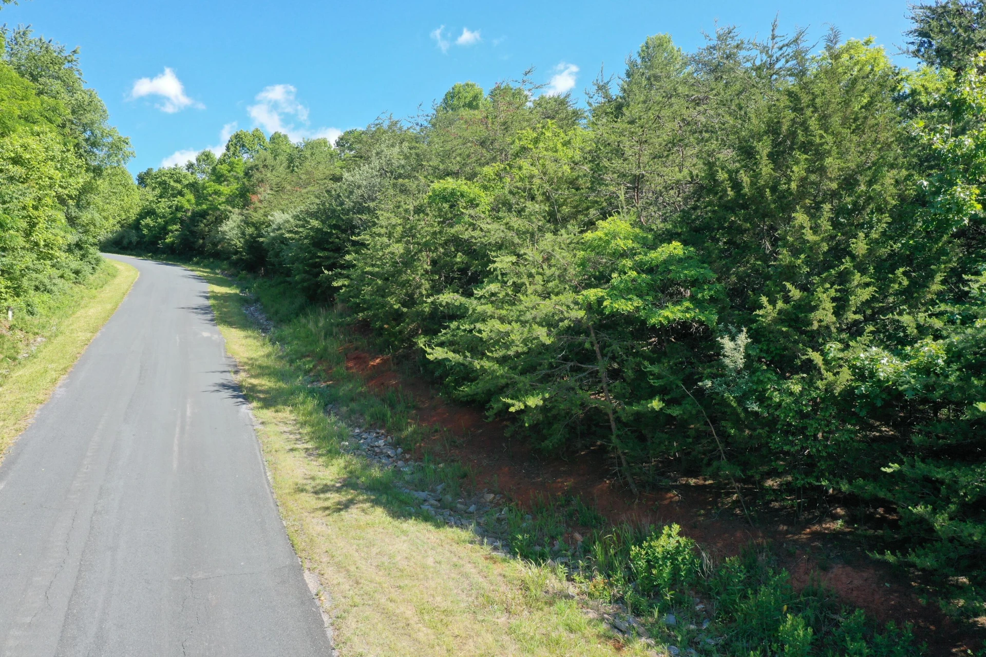 Lot 6 - Forge Hill Ln - Photo 5