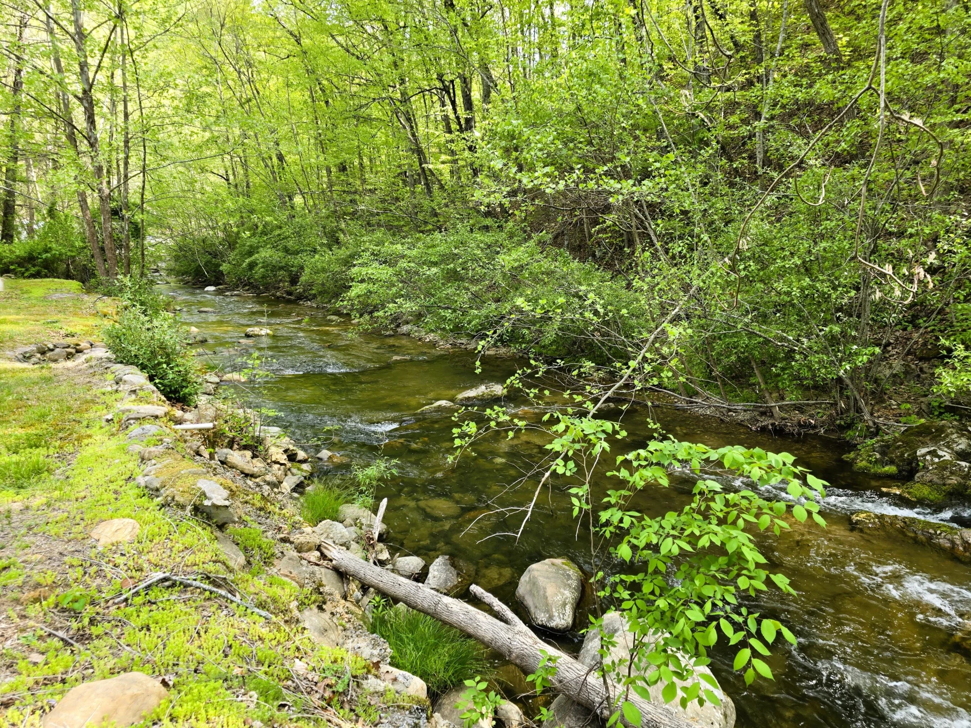 2889 Irish Creek Rd - Photo 2