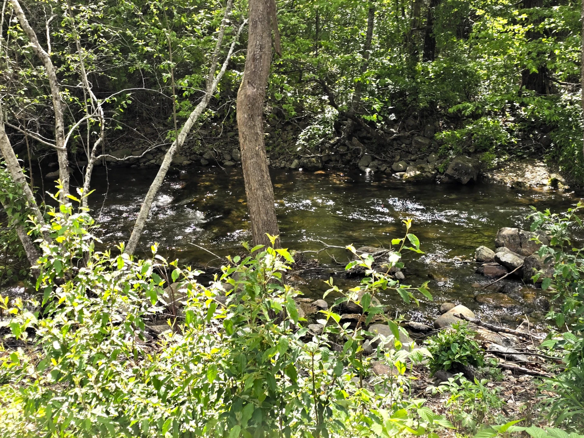 2889 Irish Creek Rd - Photo 5