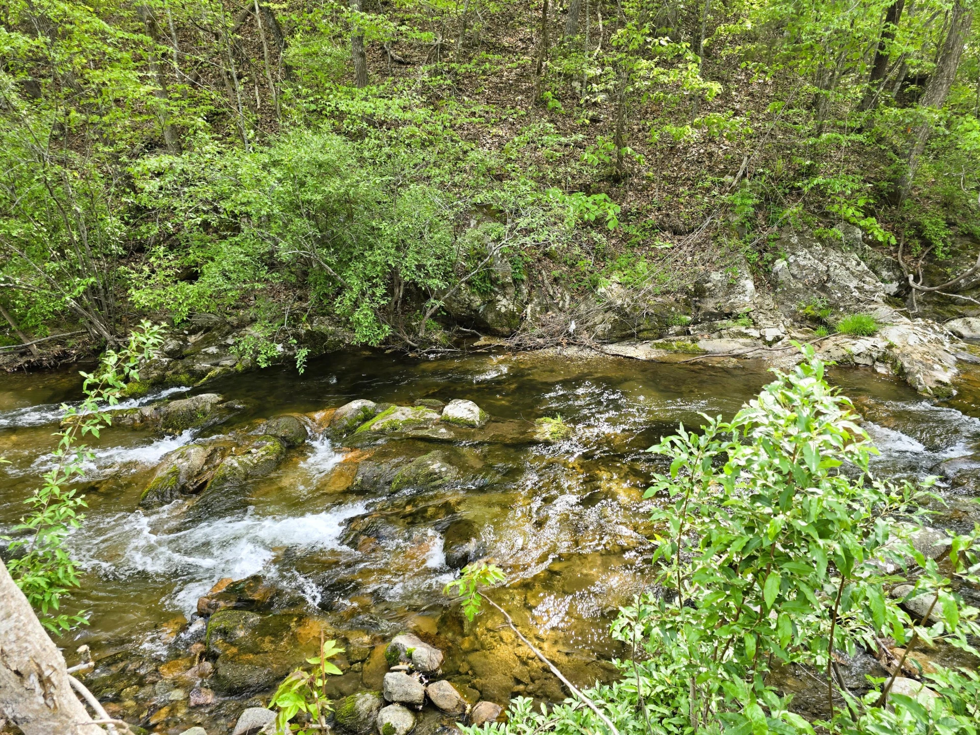 2889 Irish Creek Rd - Photo 7