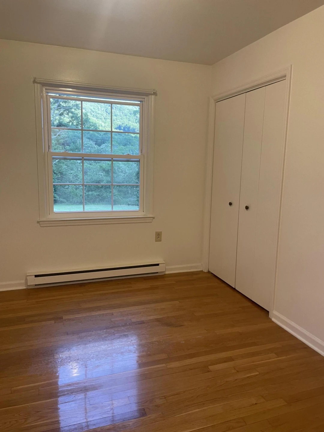 45 Sunrise Terrace Road Rd - Photo 28