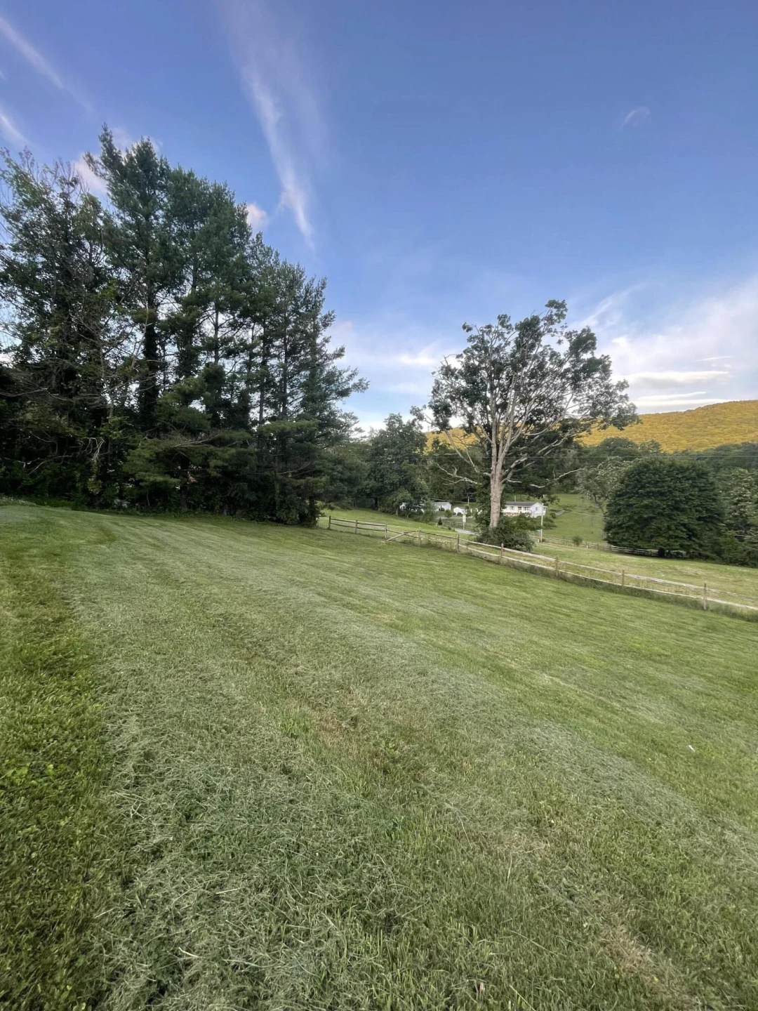 45 Sunrise Terrace Road Rd - Photo 44