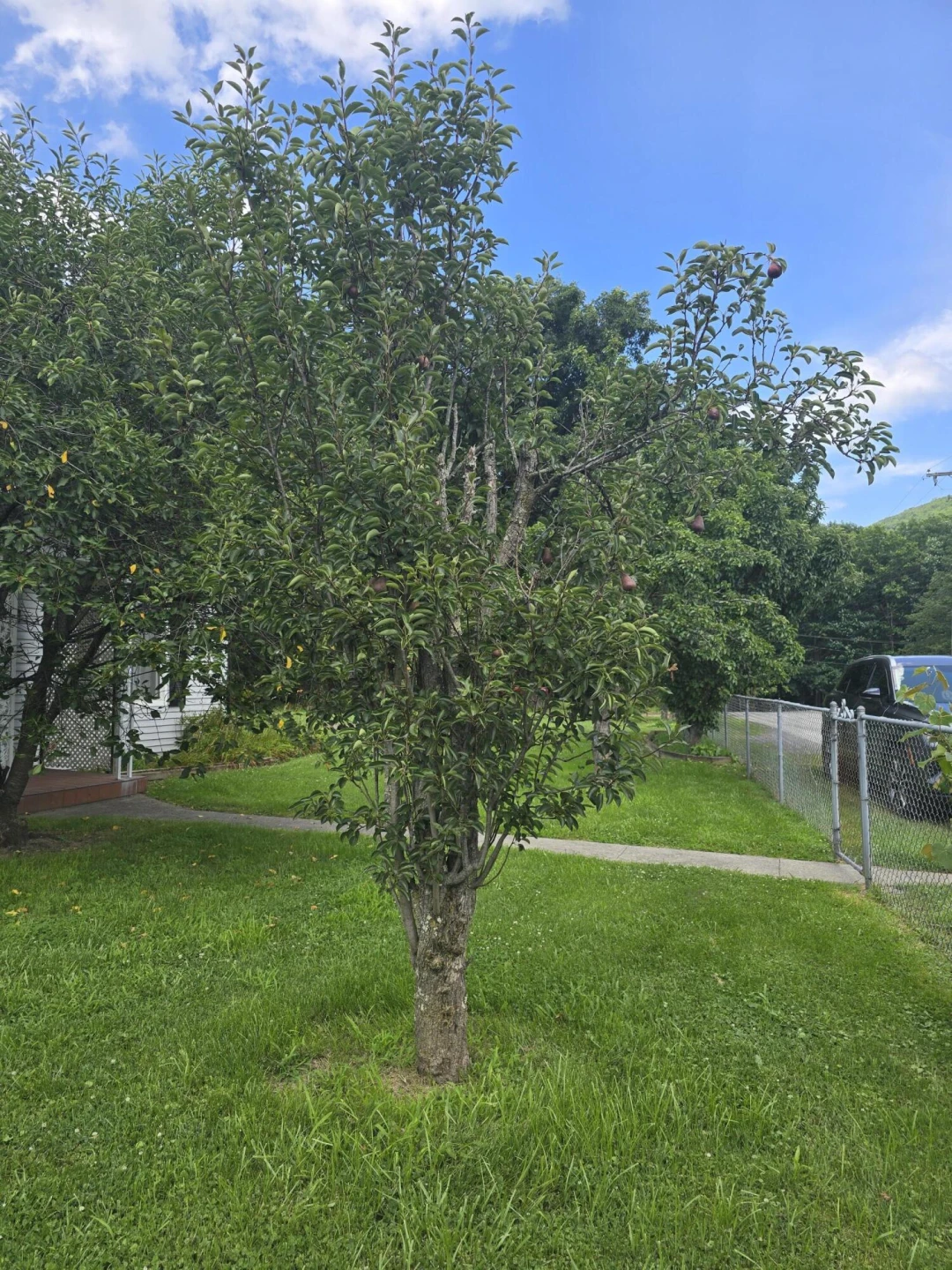 812 Grayson Ave - Photo 19