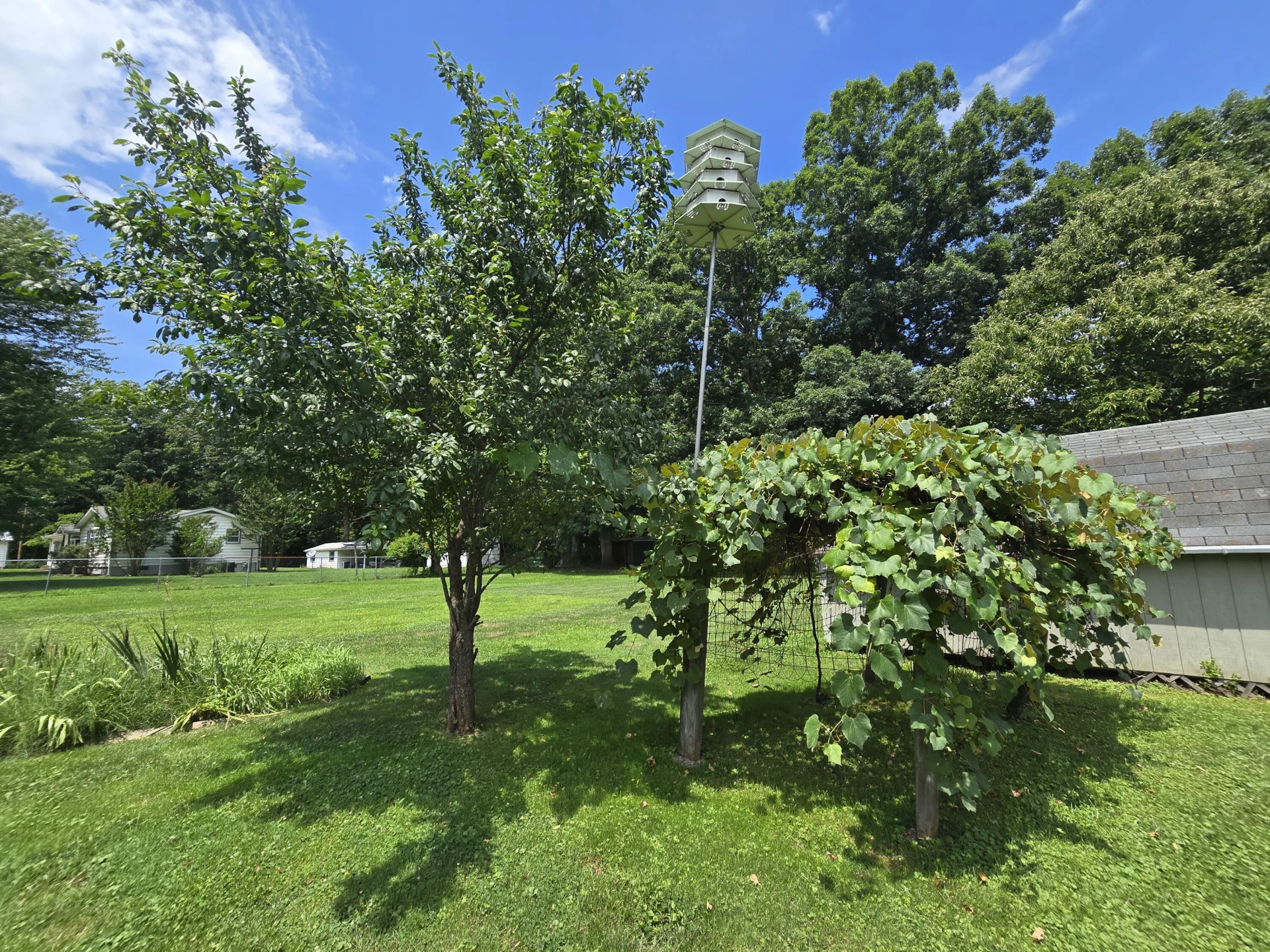 812 Grayson Ave - Photo 20